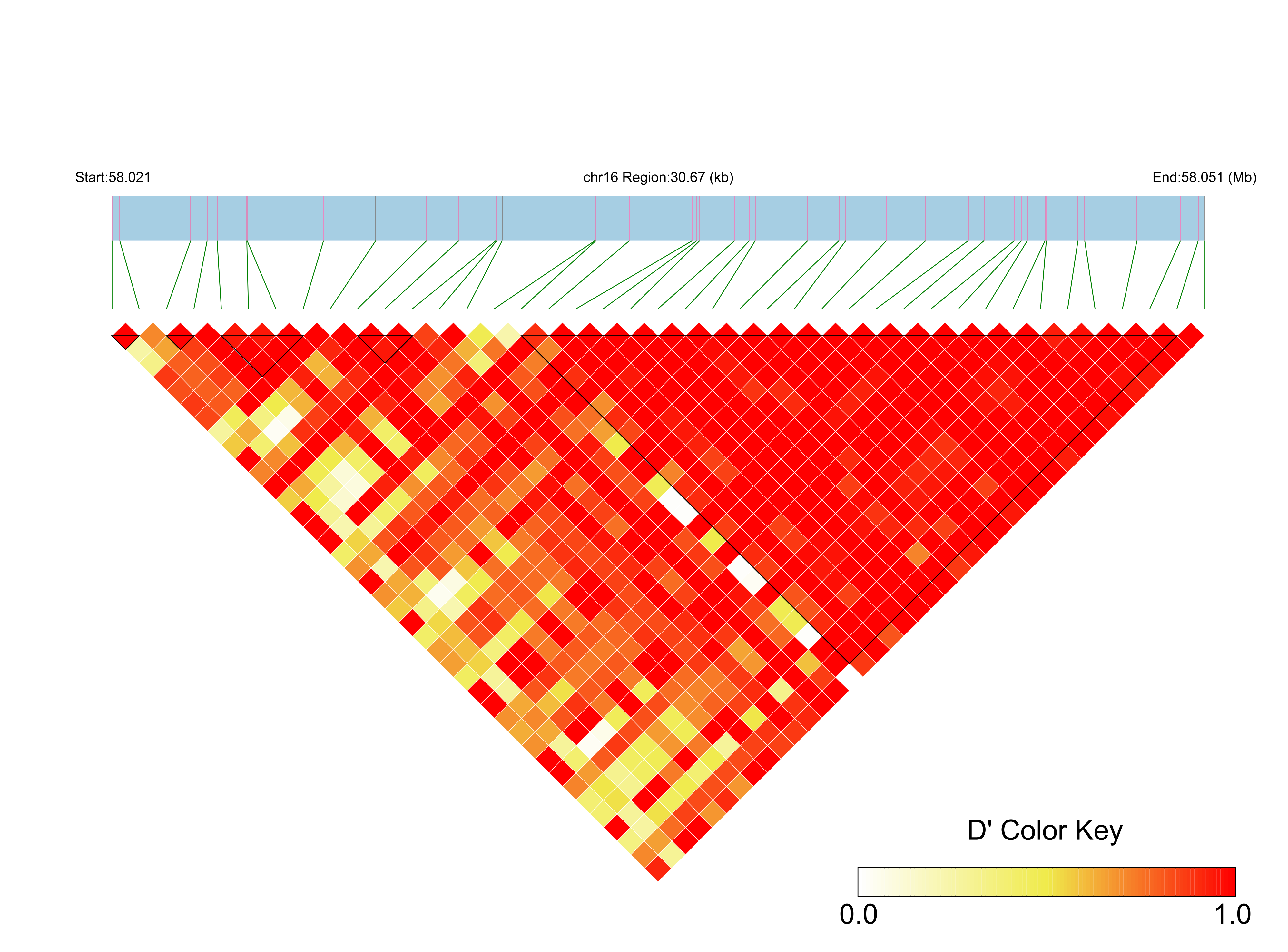 LD