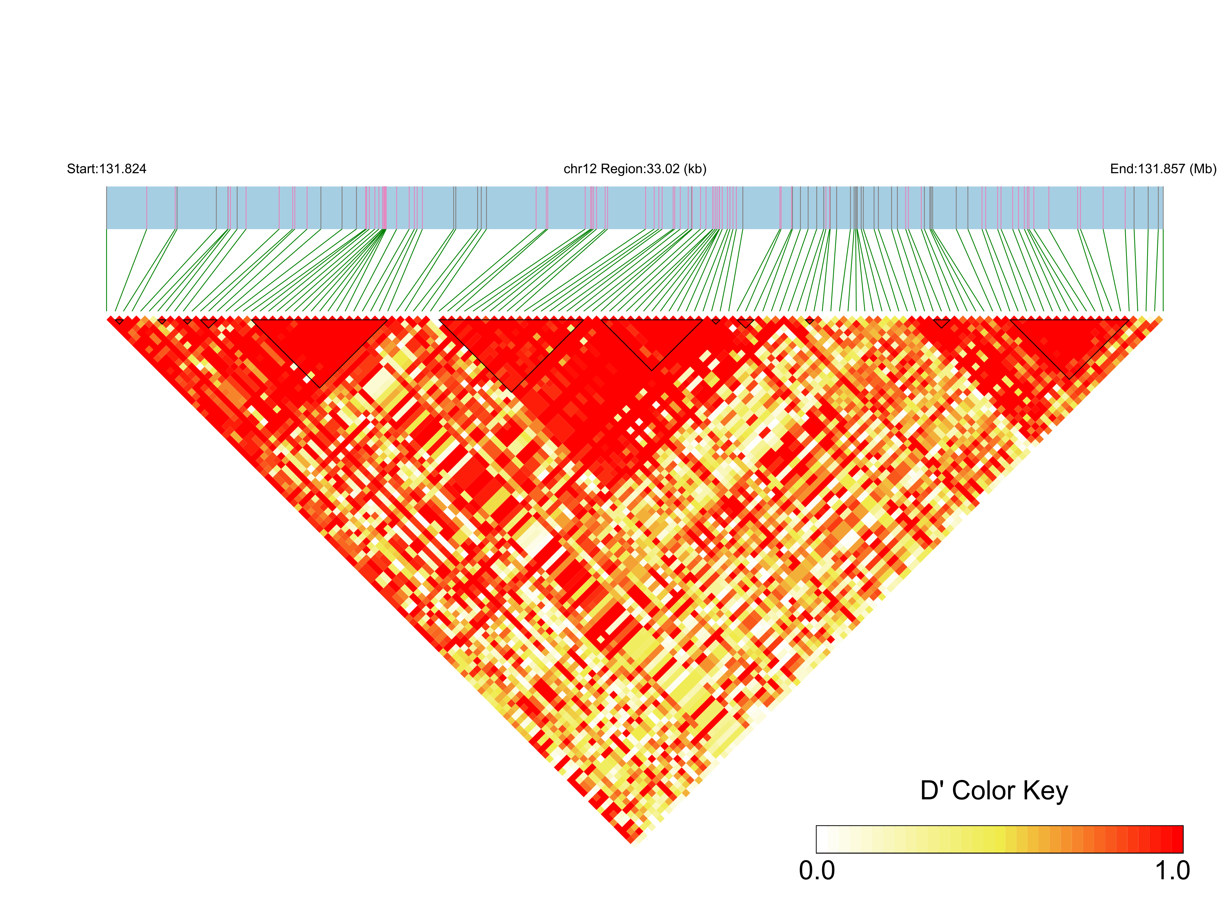 LD