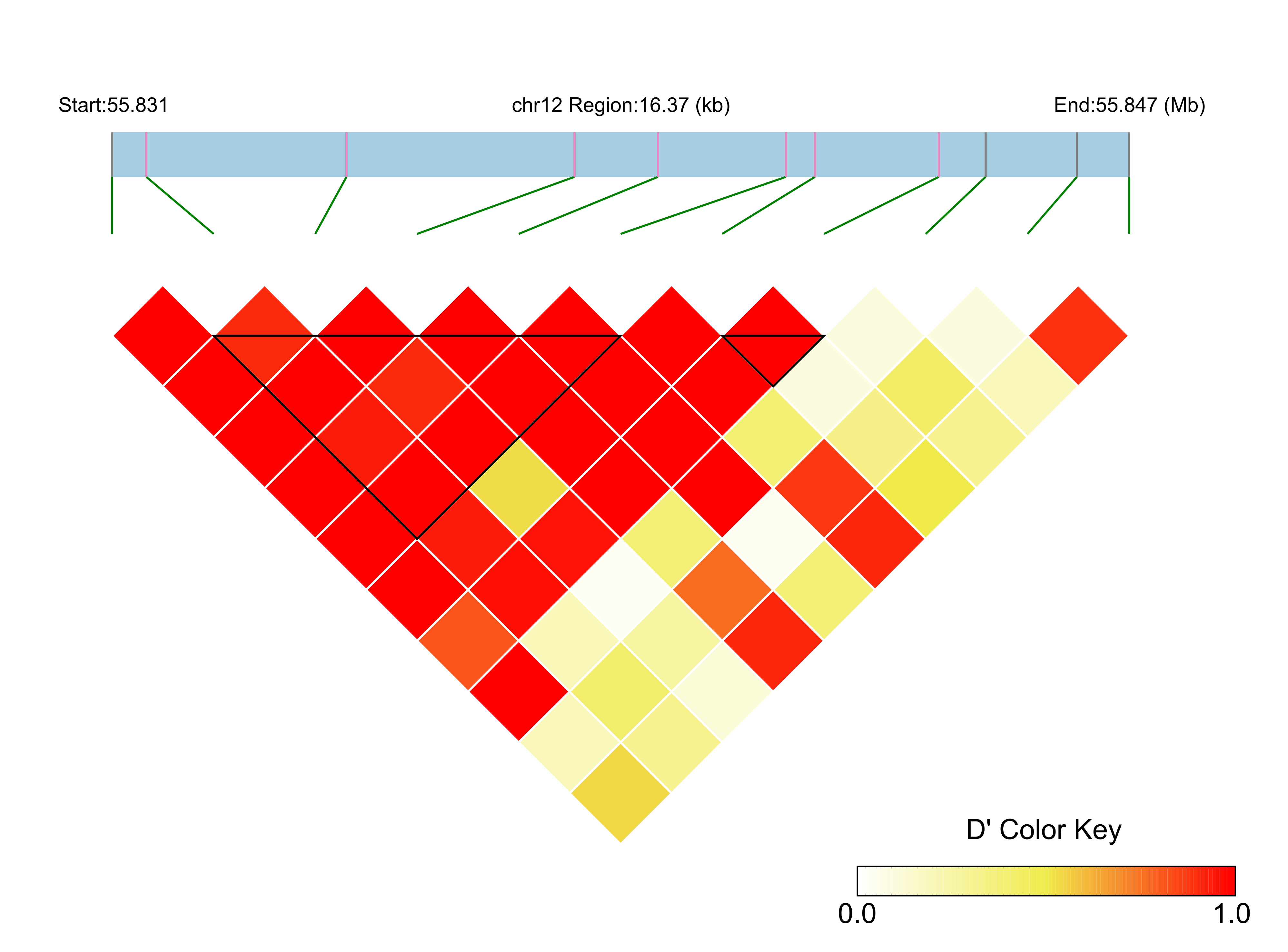LD