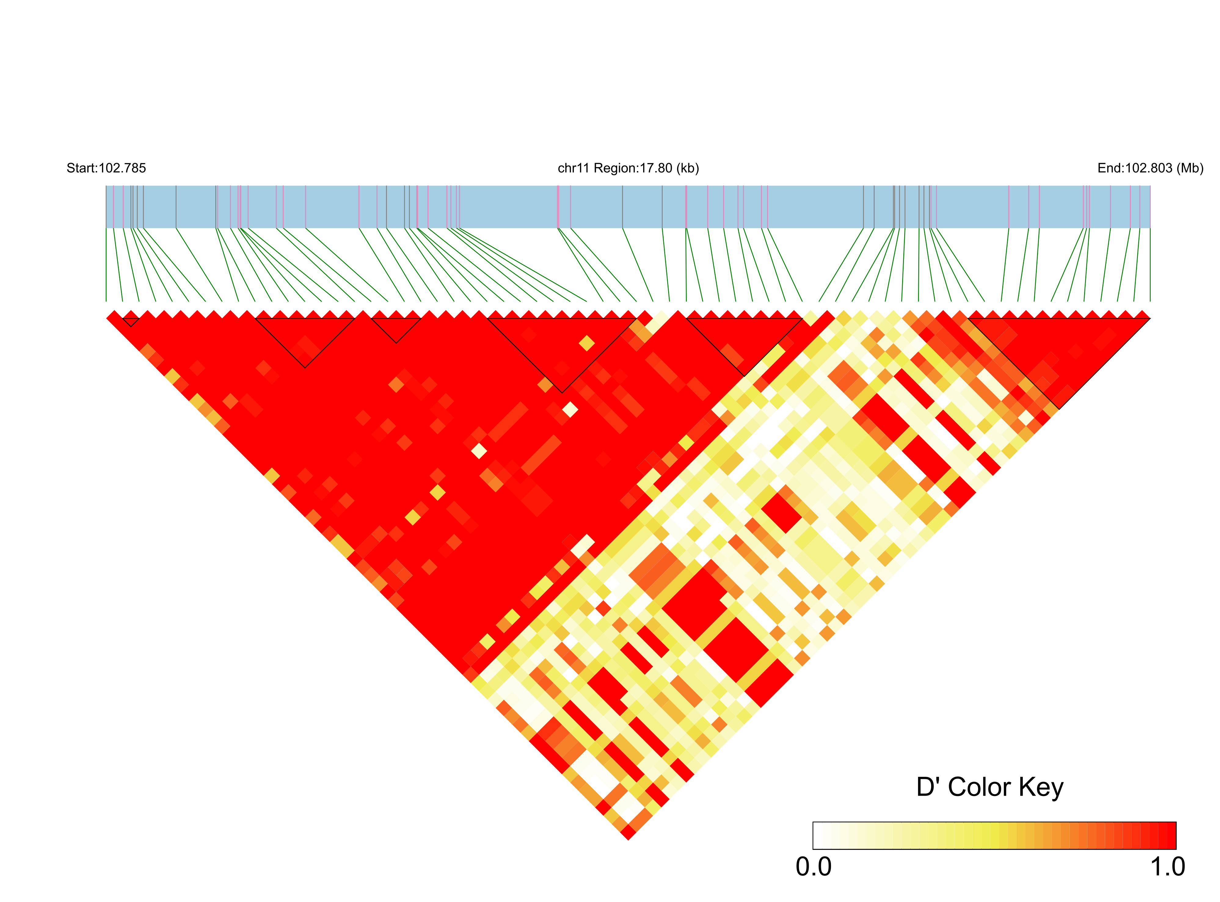 LD