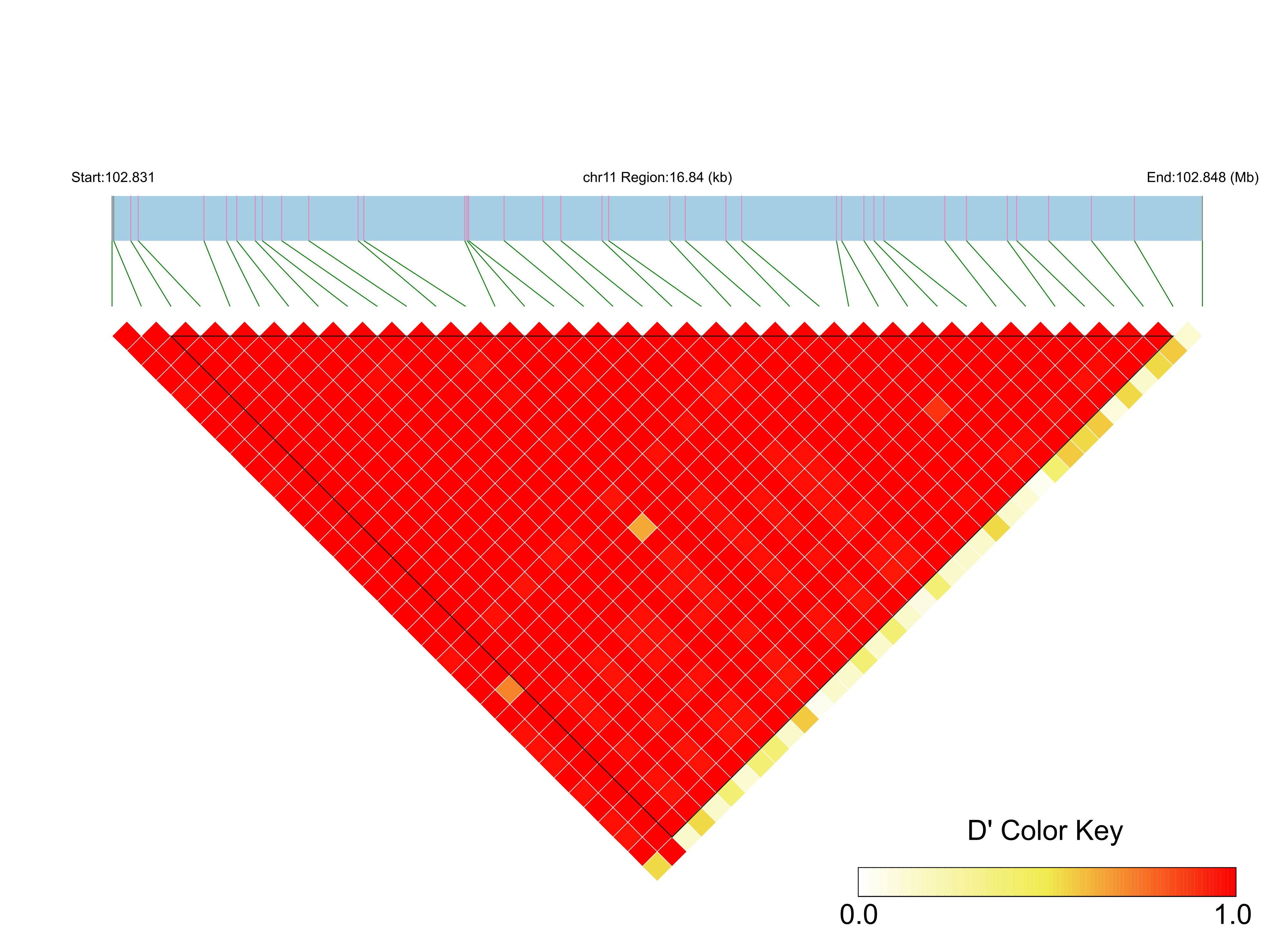 LD