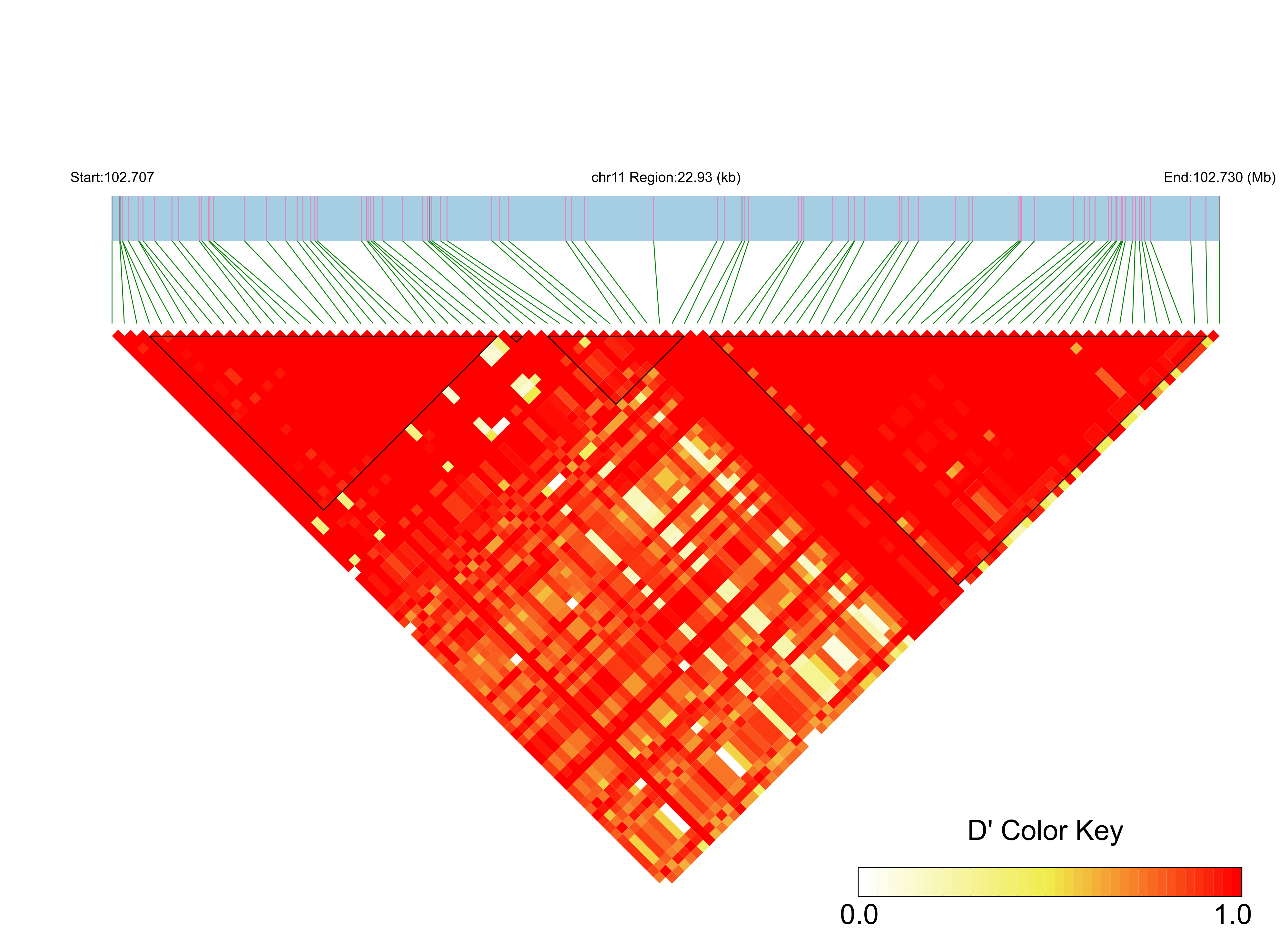 LD