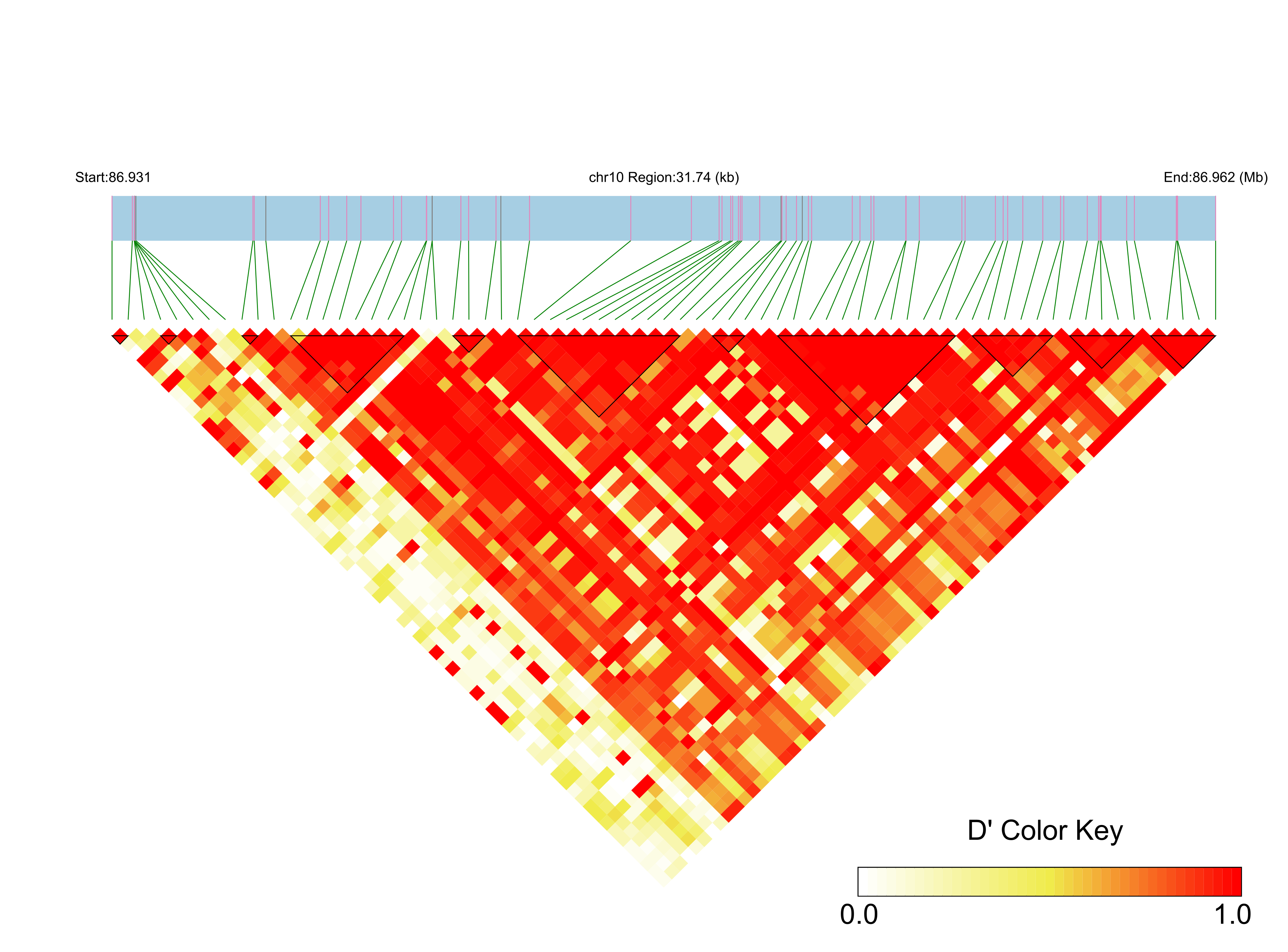 LD