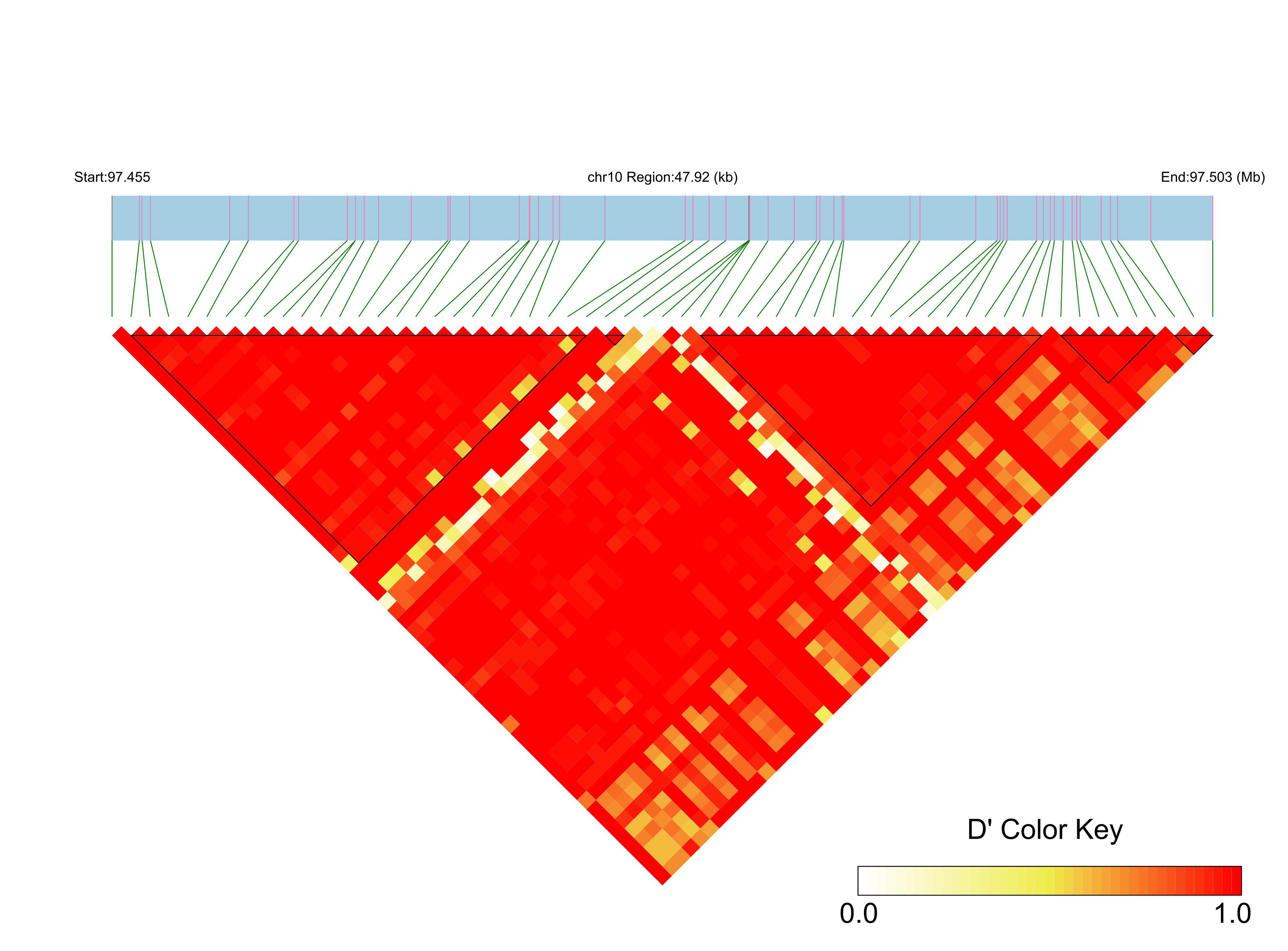LD