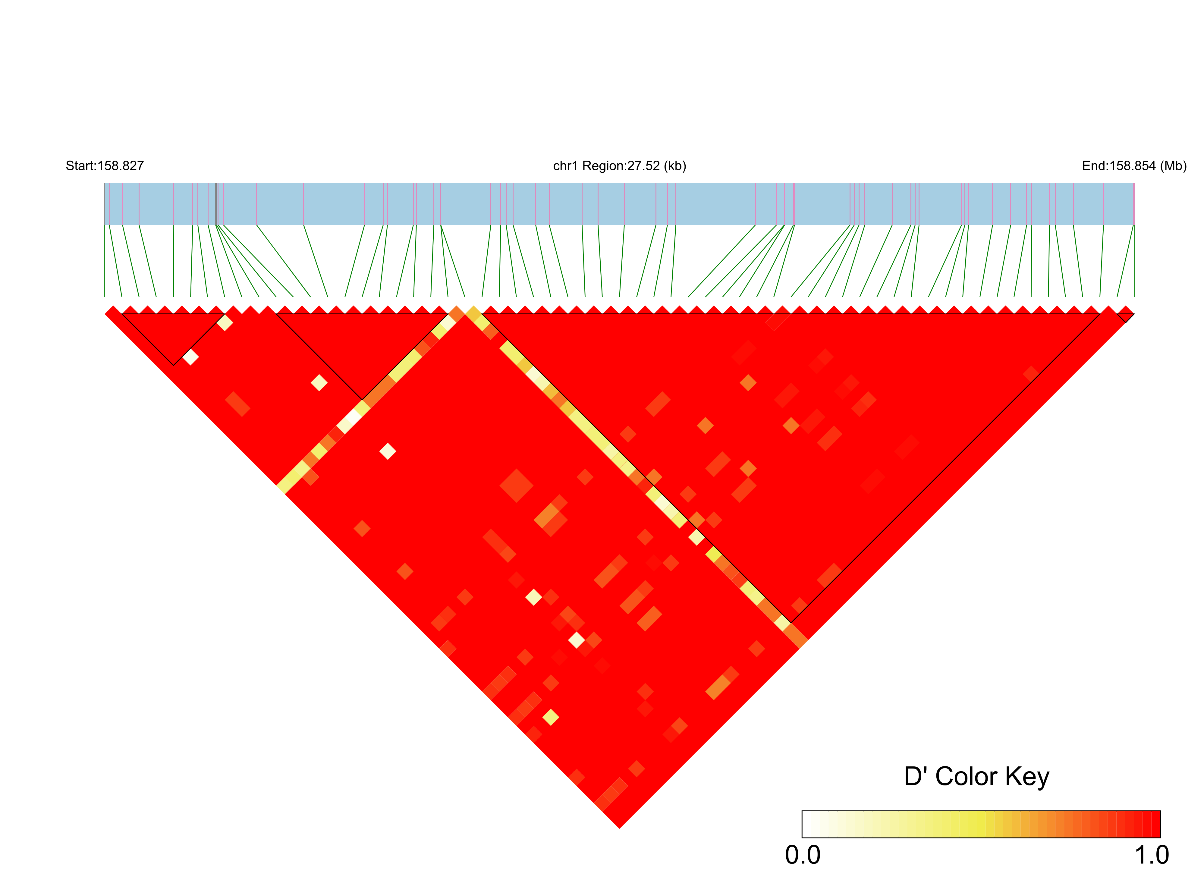 LD