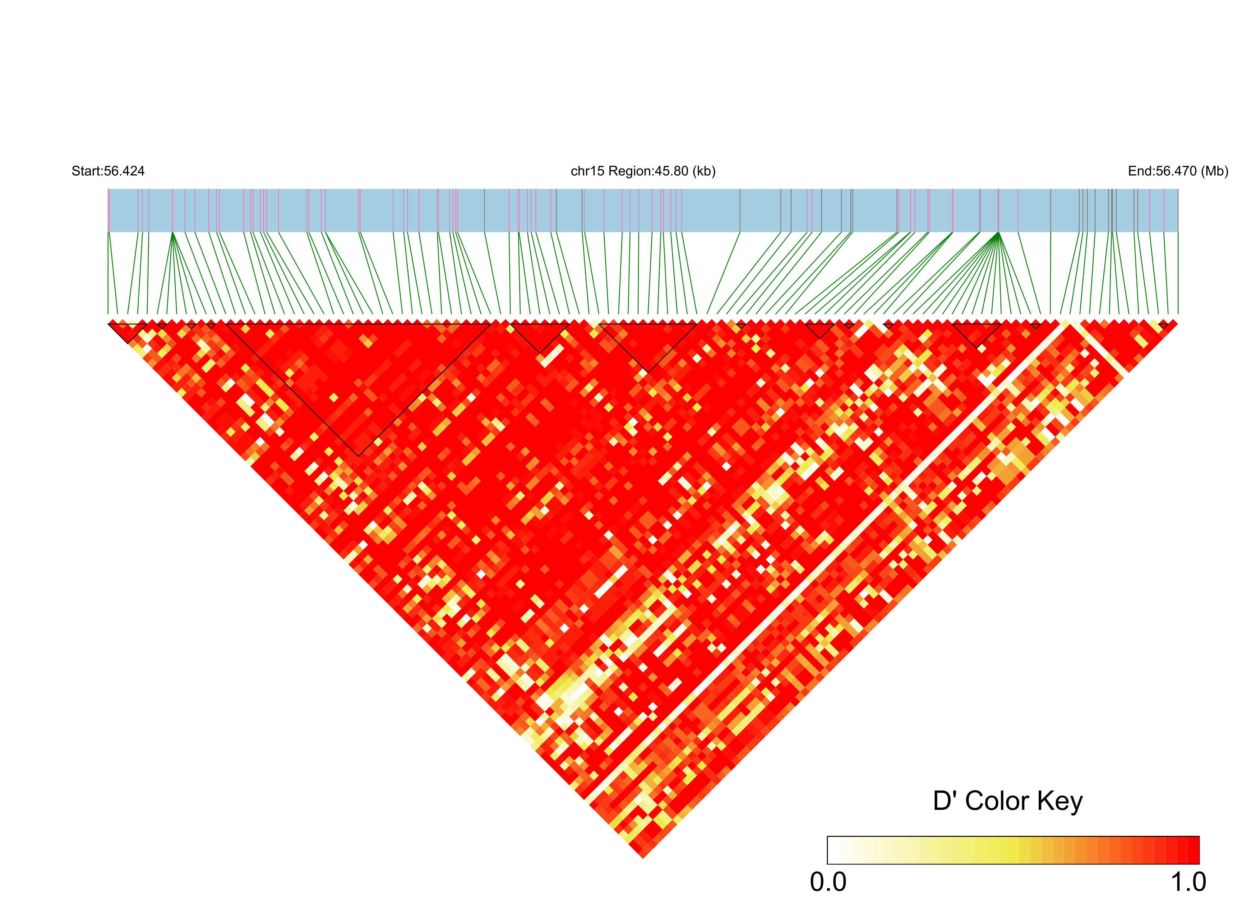 LD