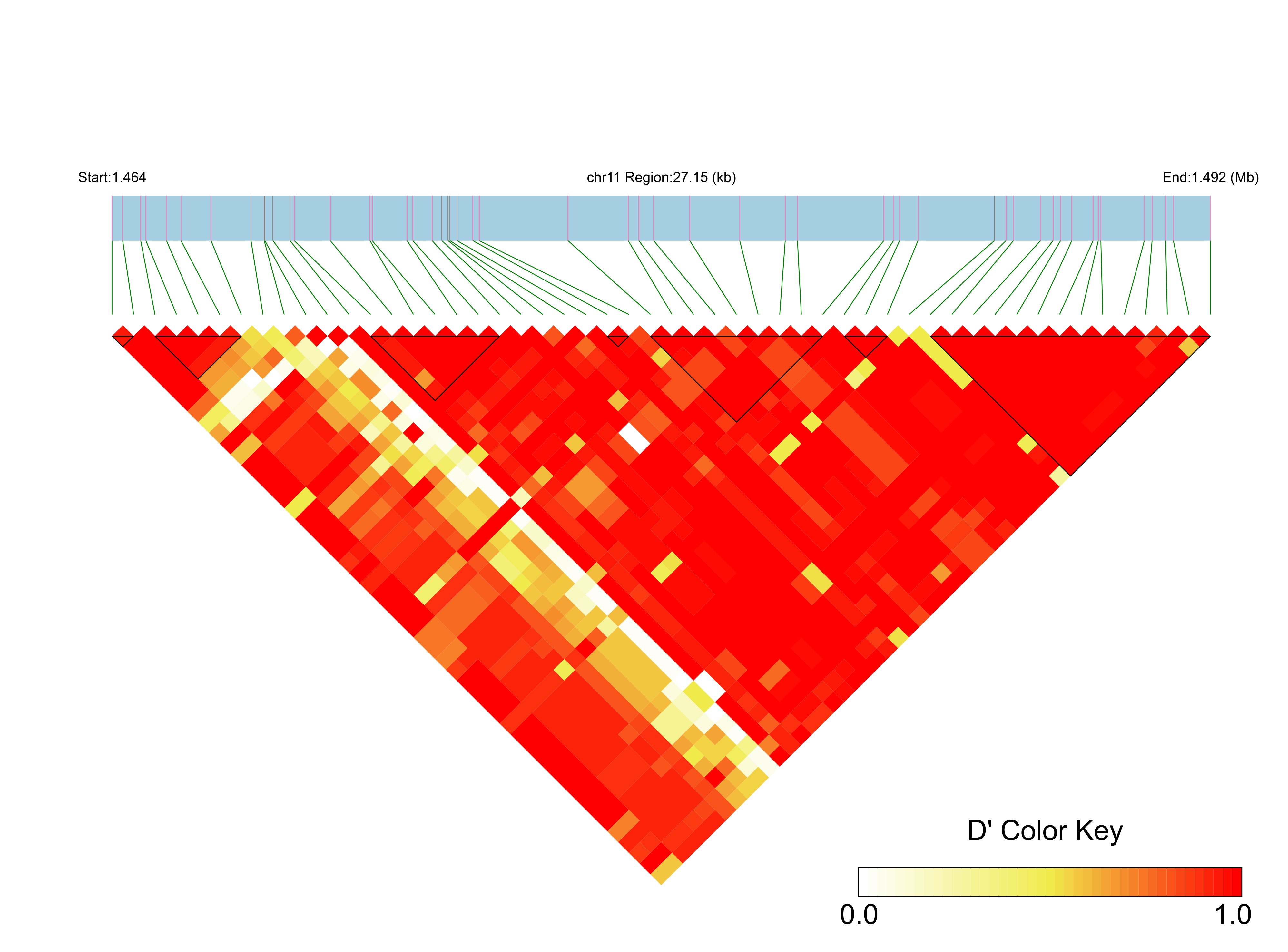 LD