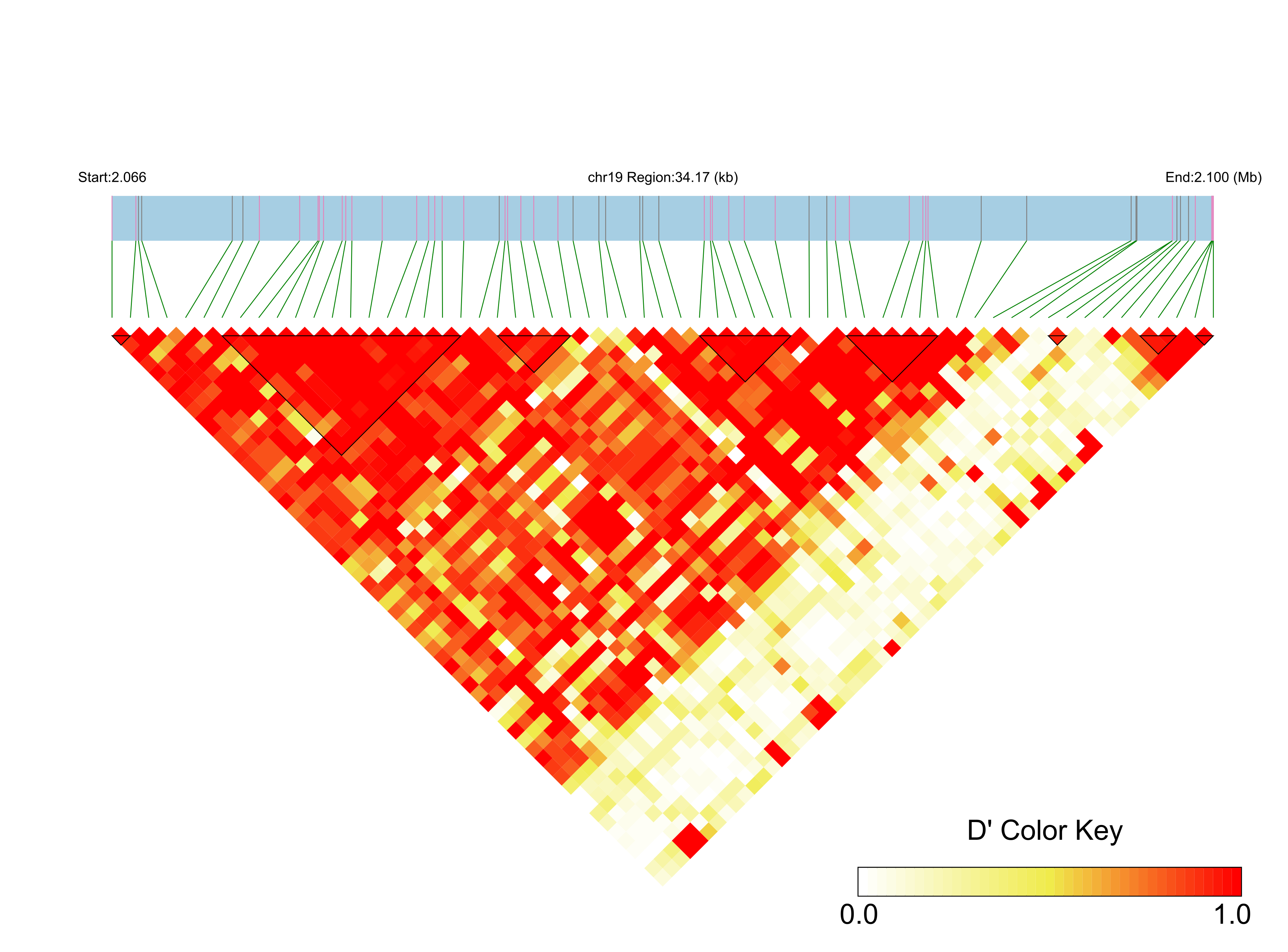 LD