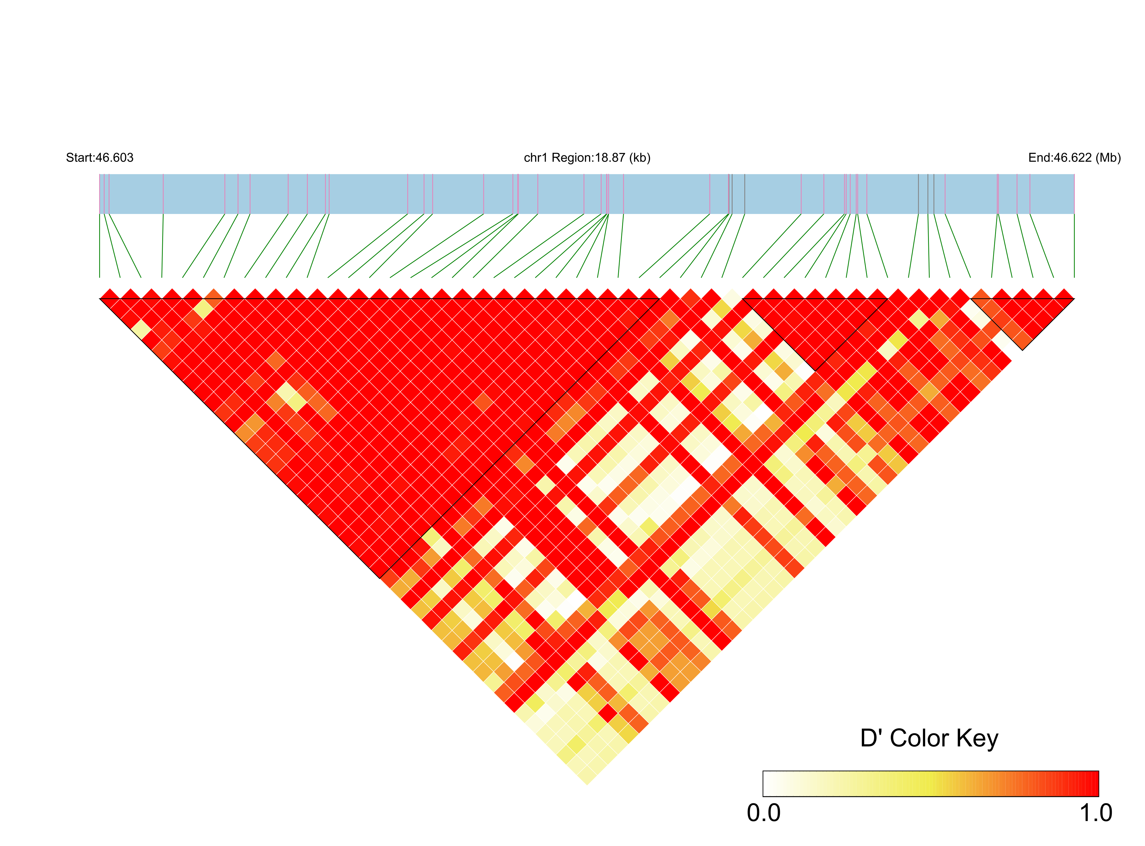 LD