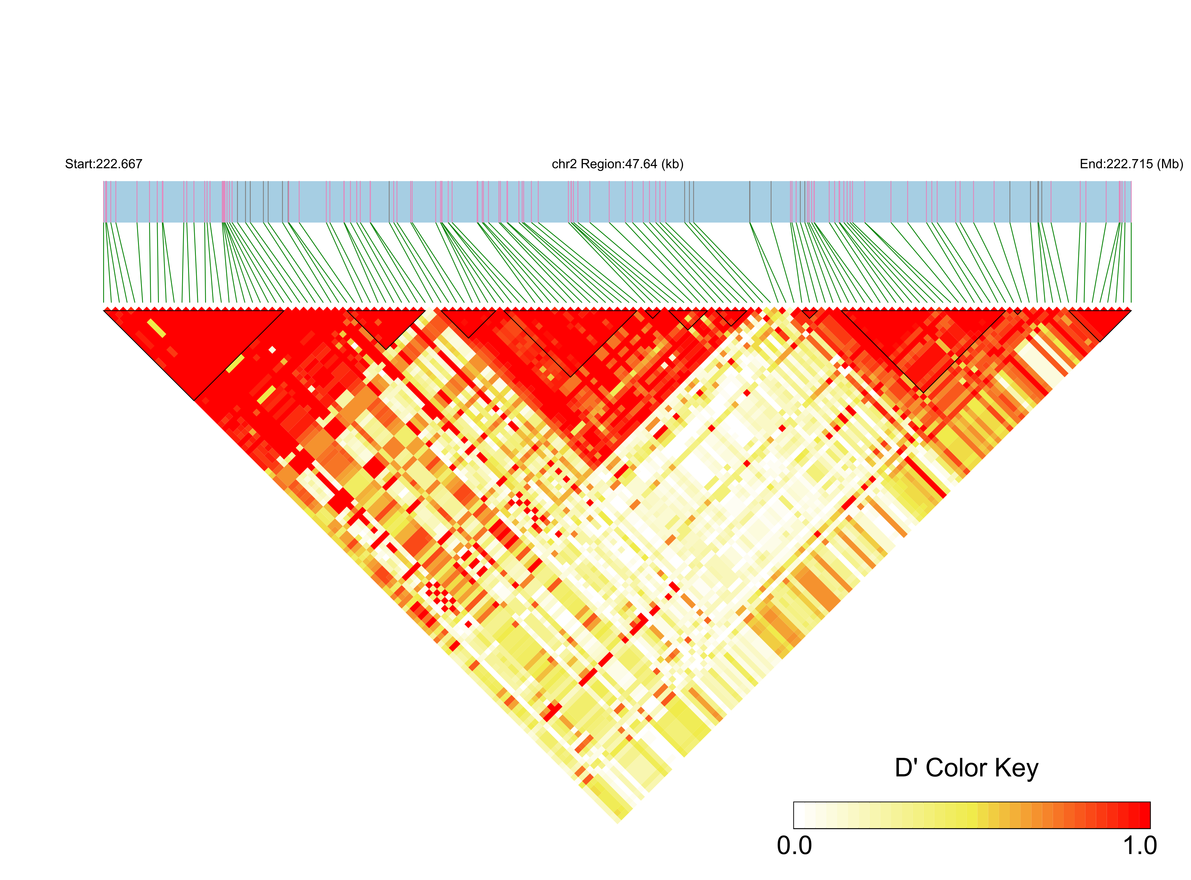 LD