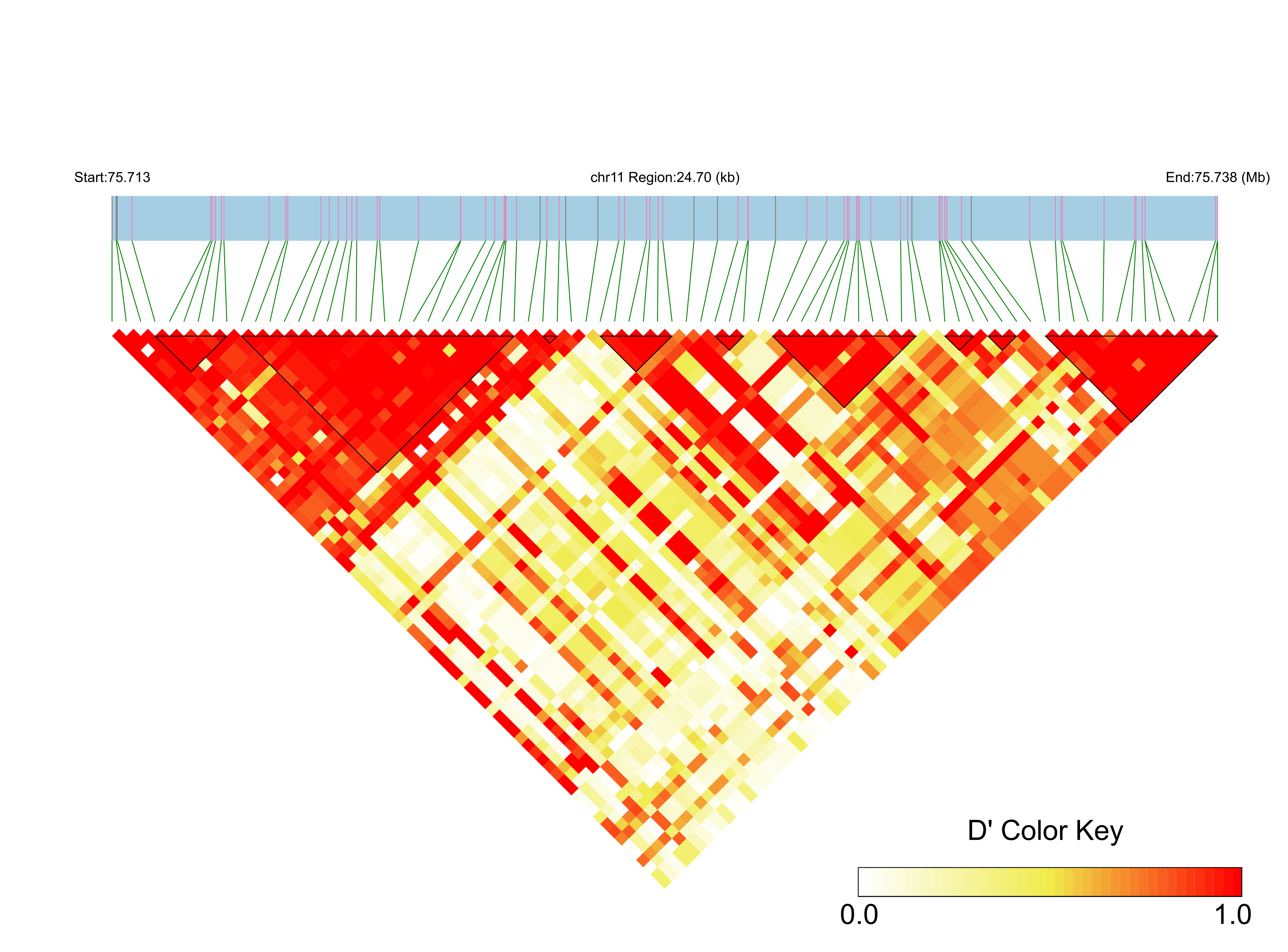 LD