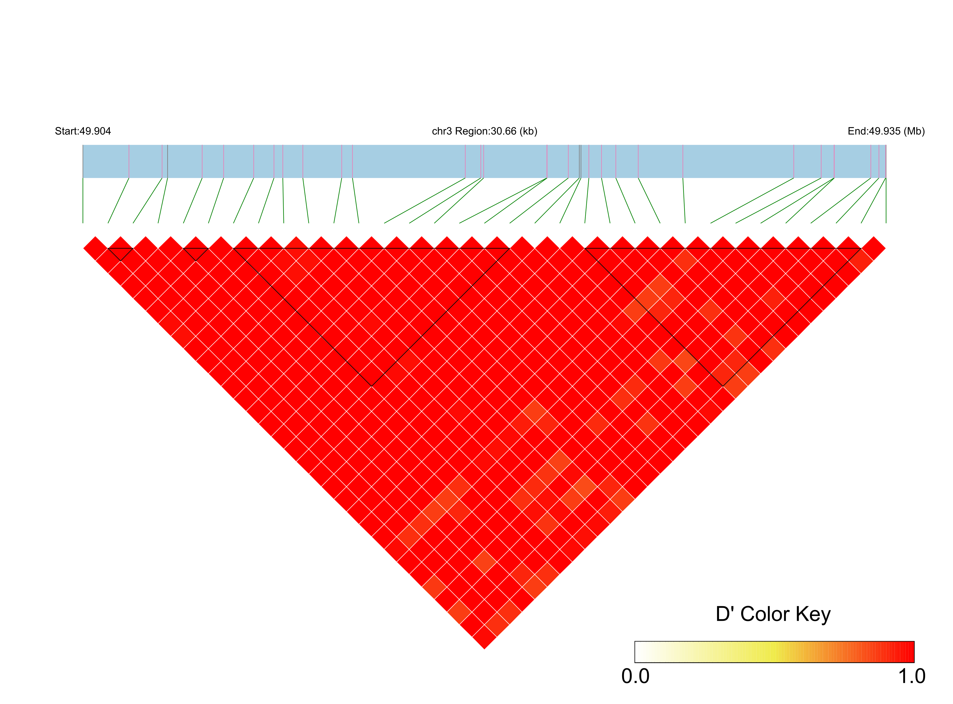 LD