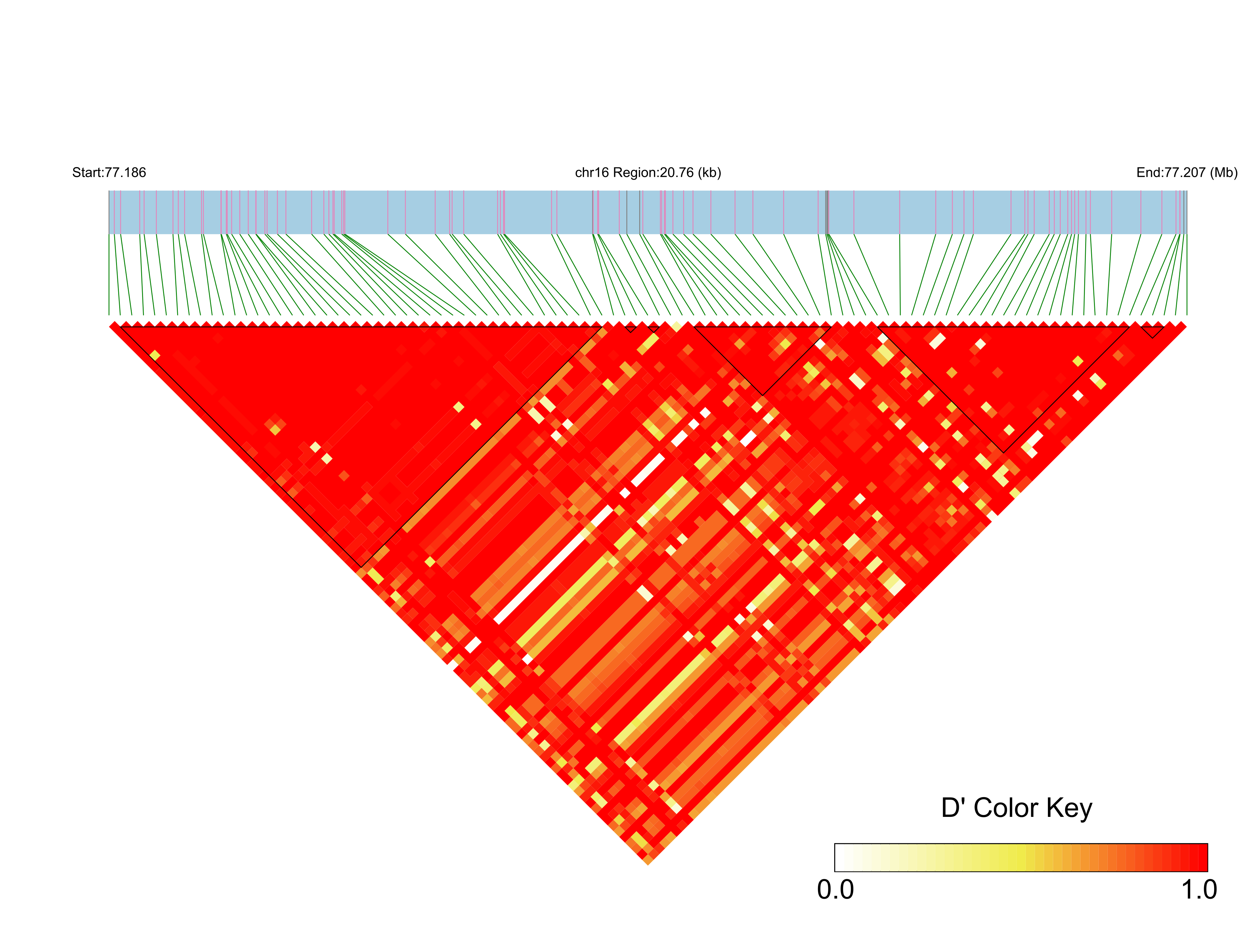 LD