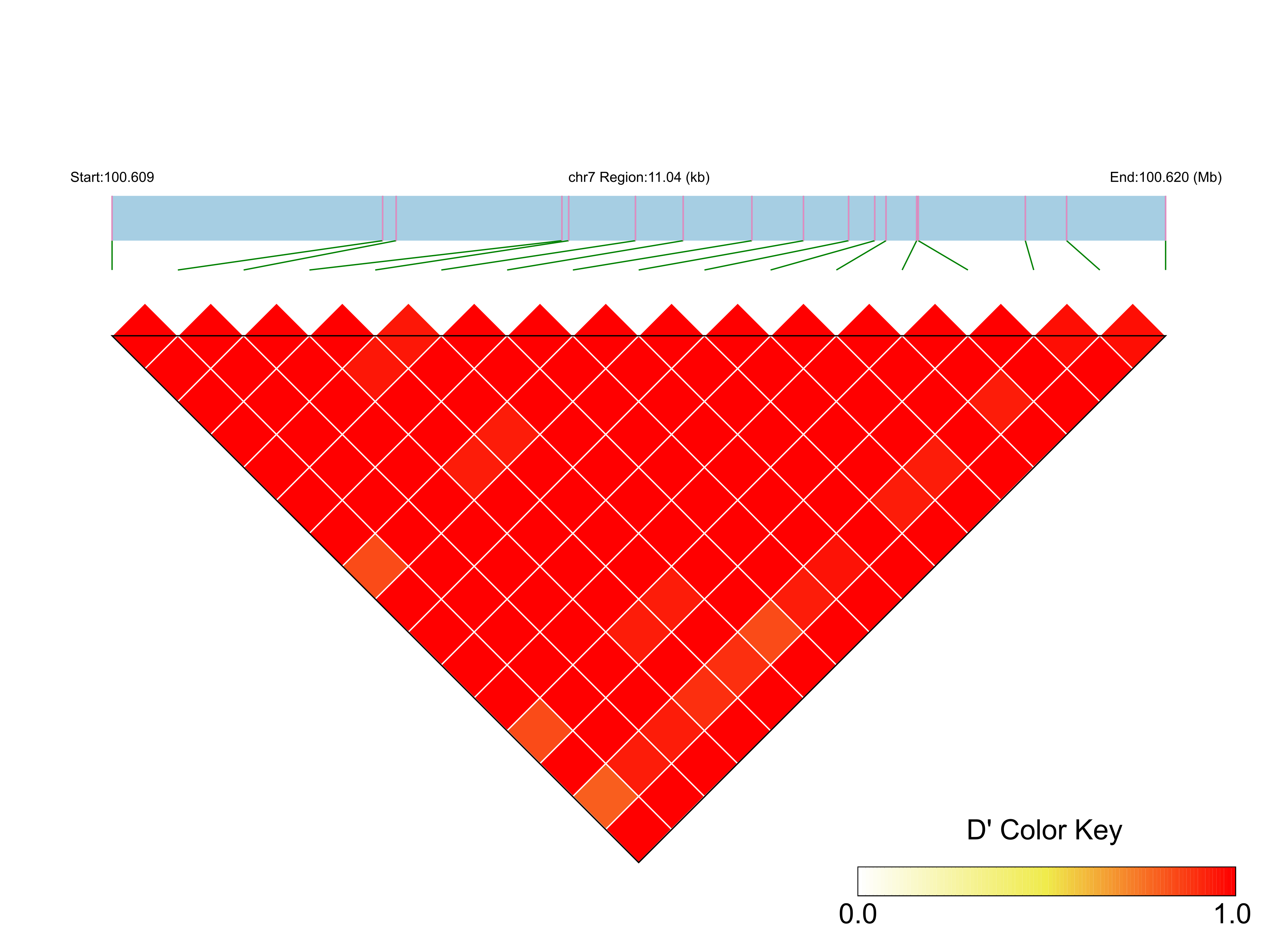 LD