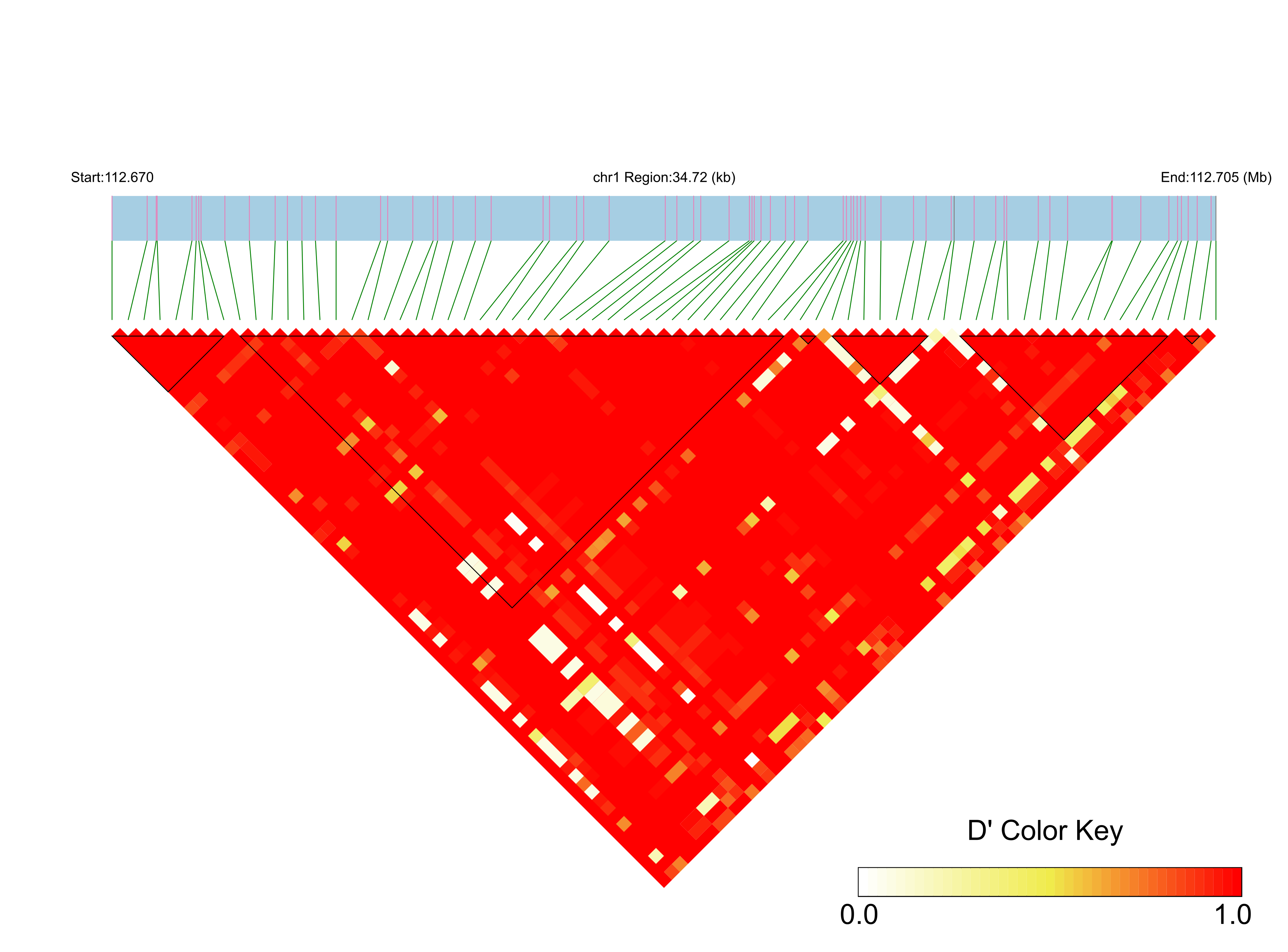 LD