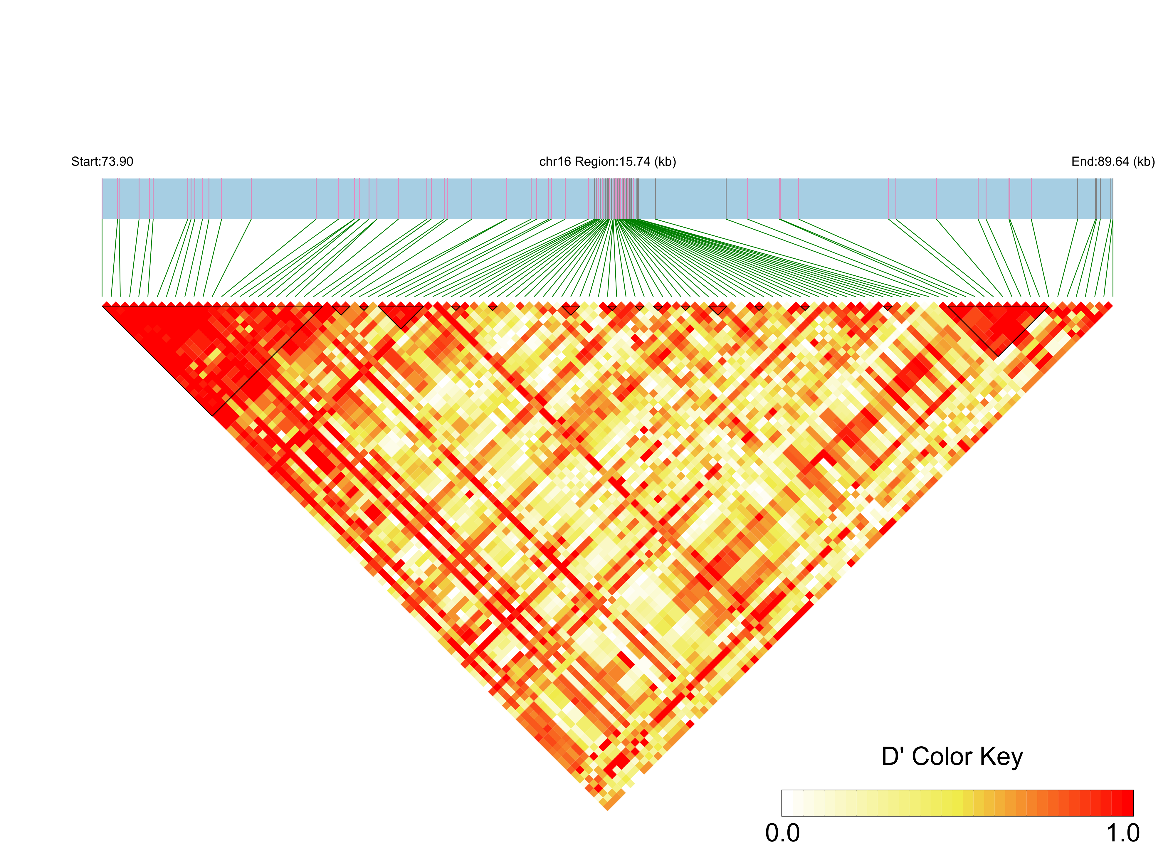 LD