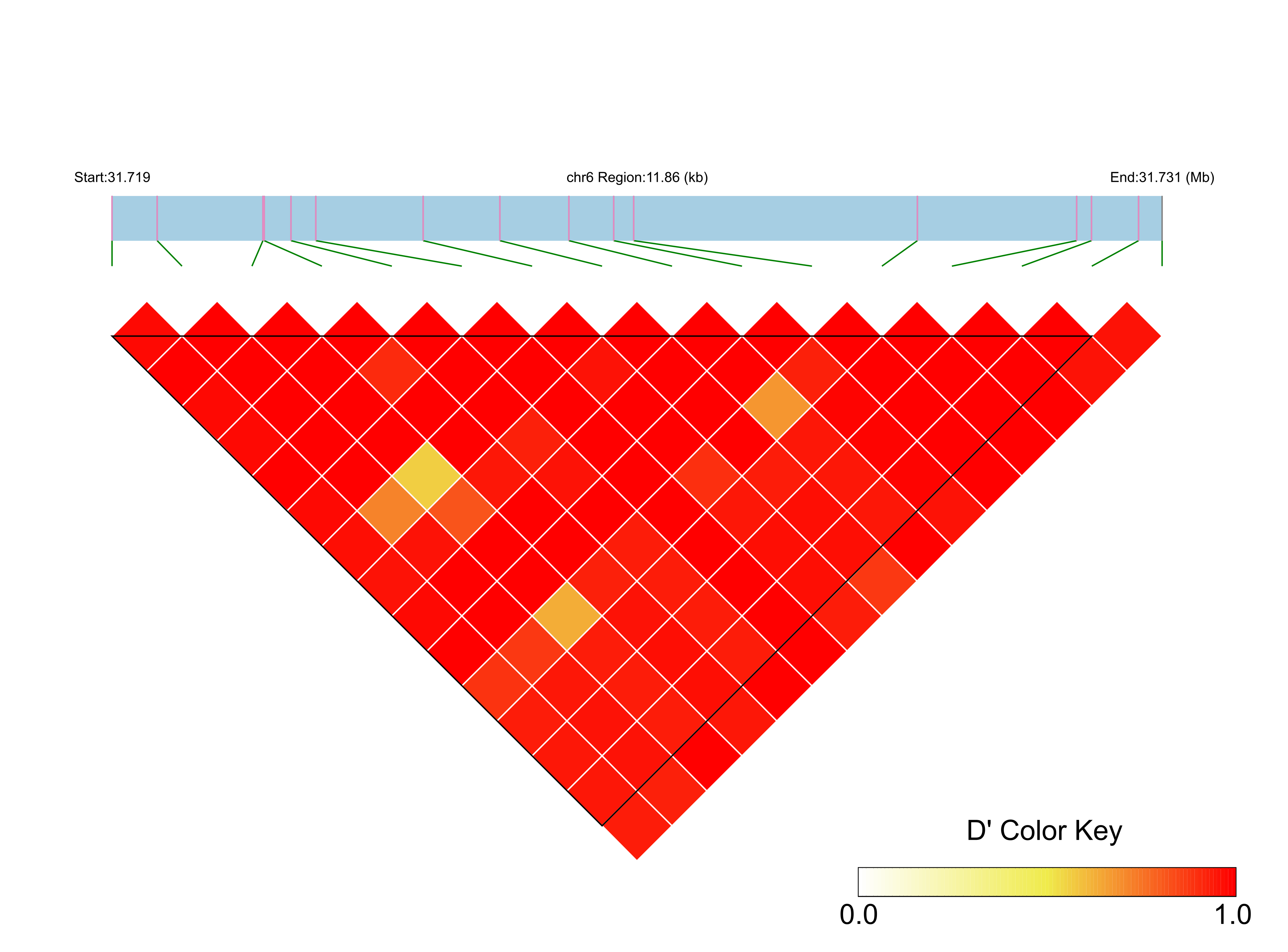 LD