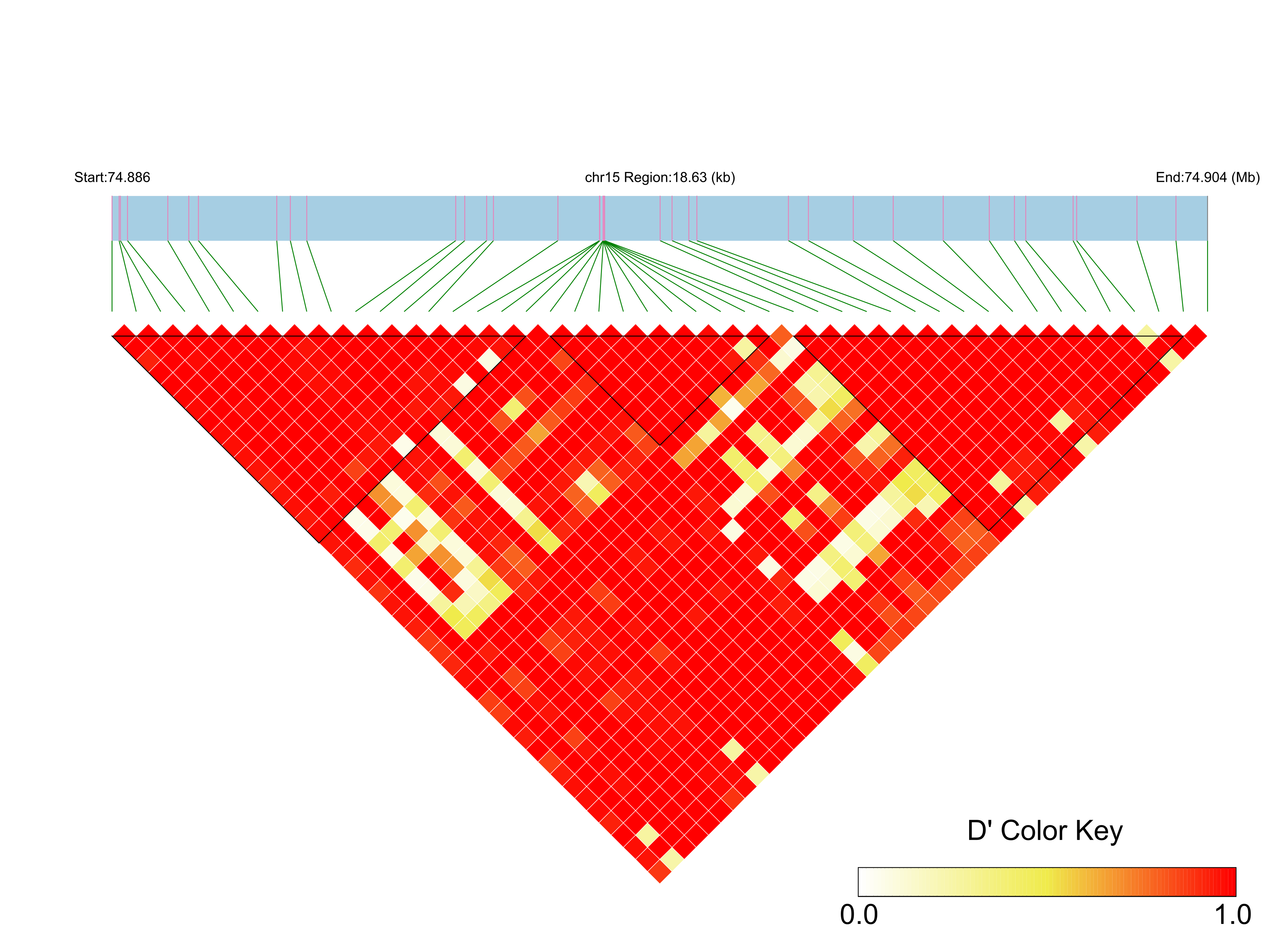 LD