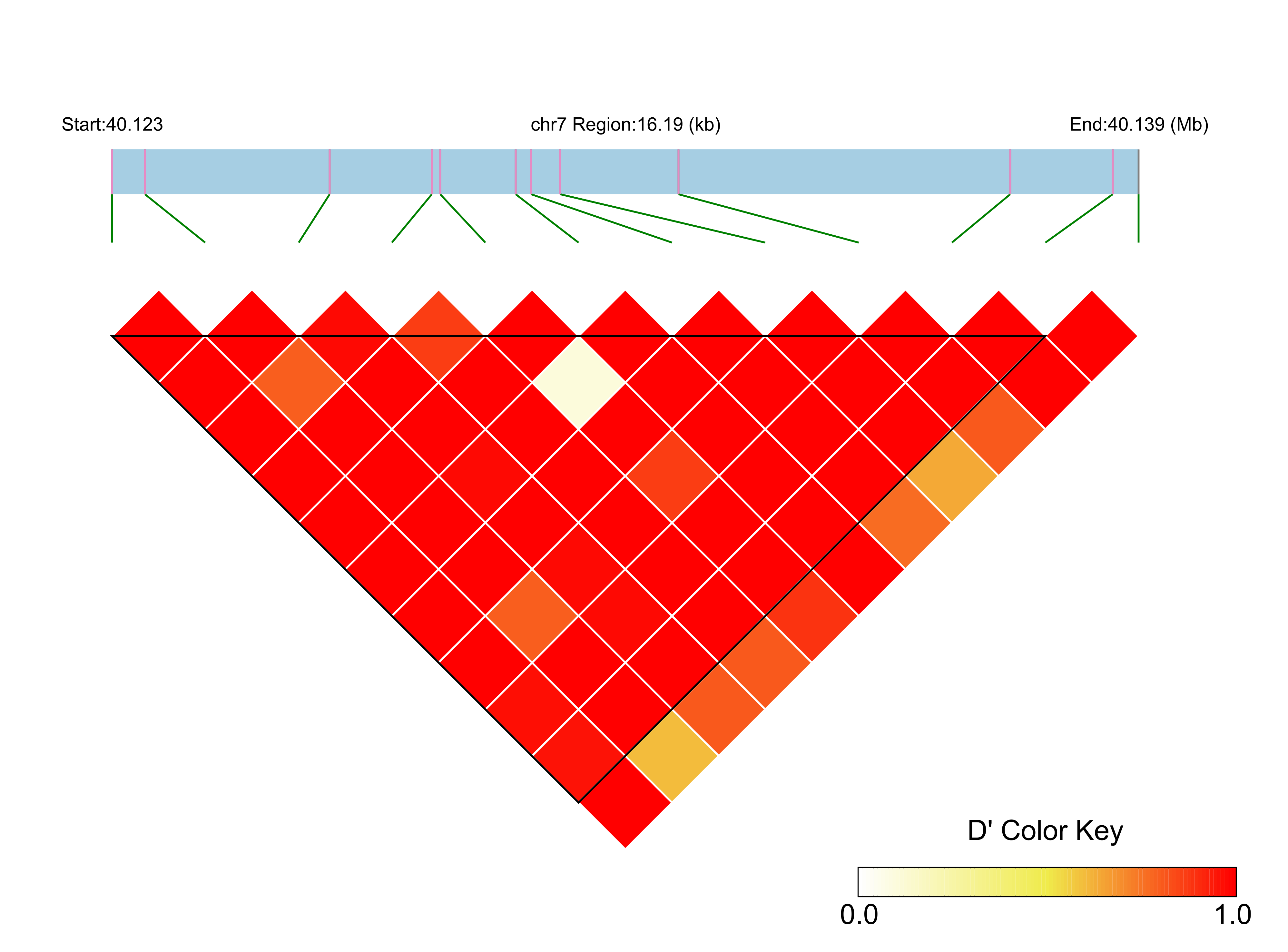 LD