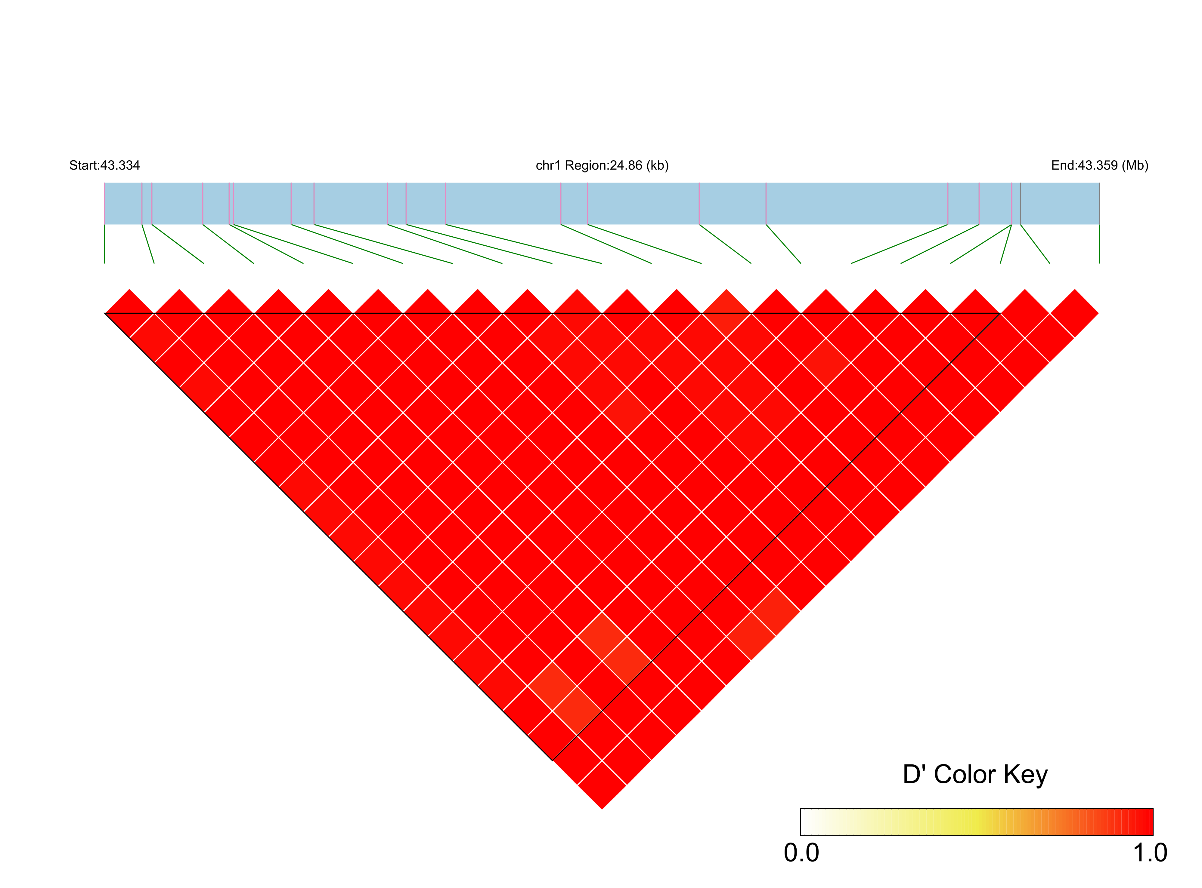 LD