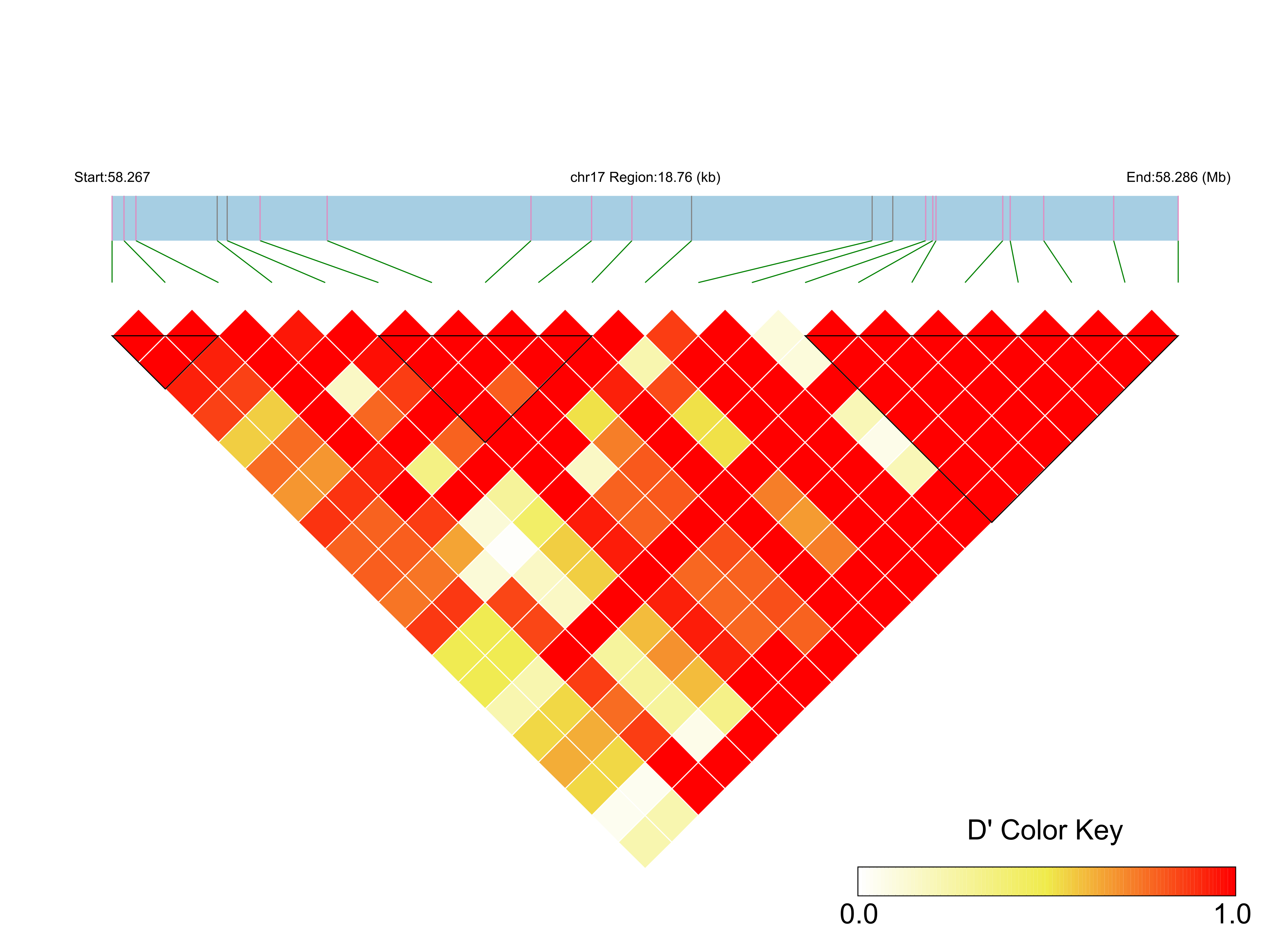 LD
