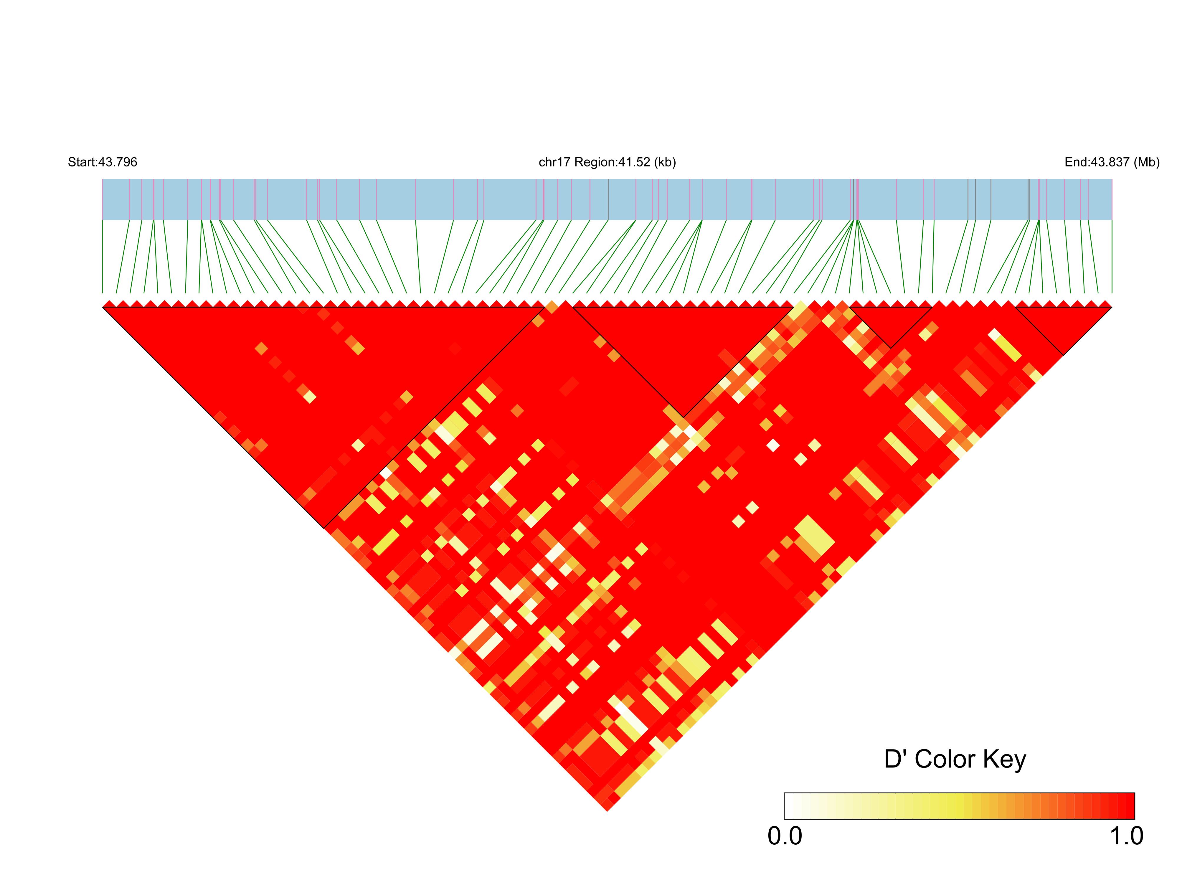 LD