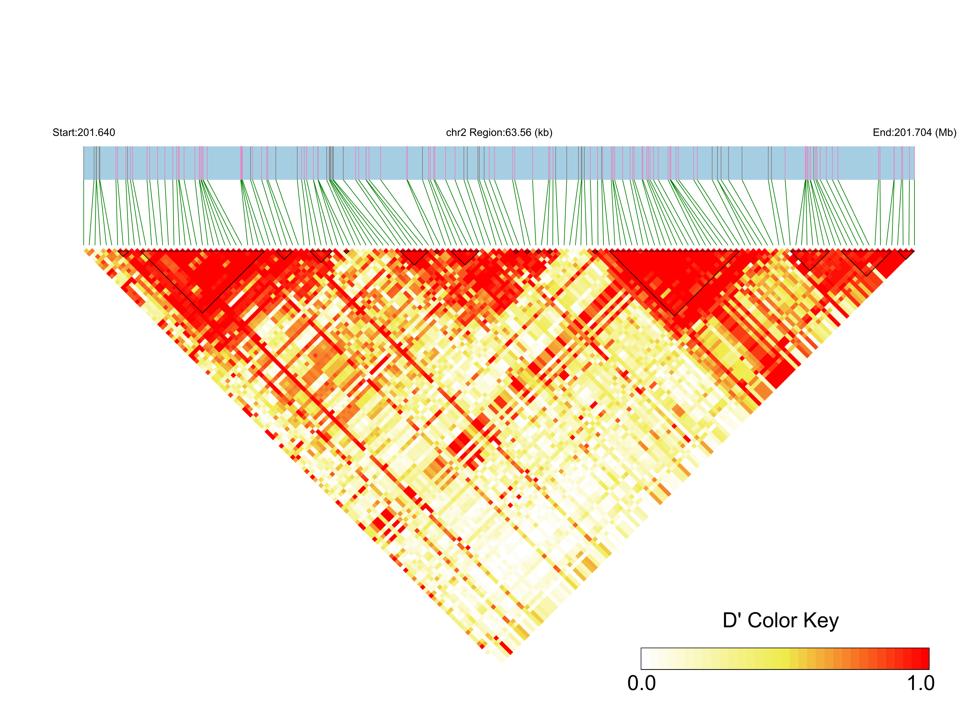 LD