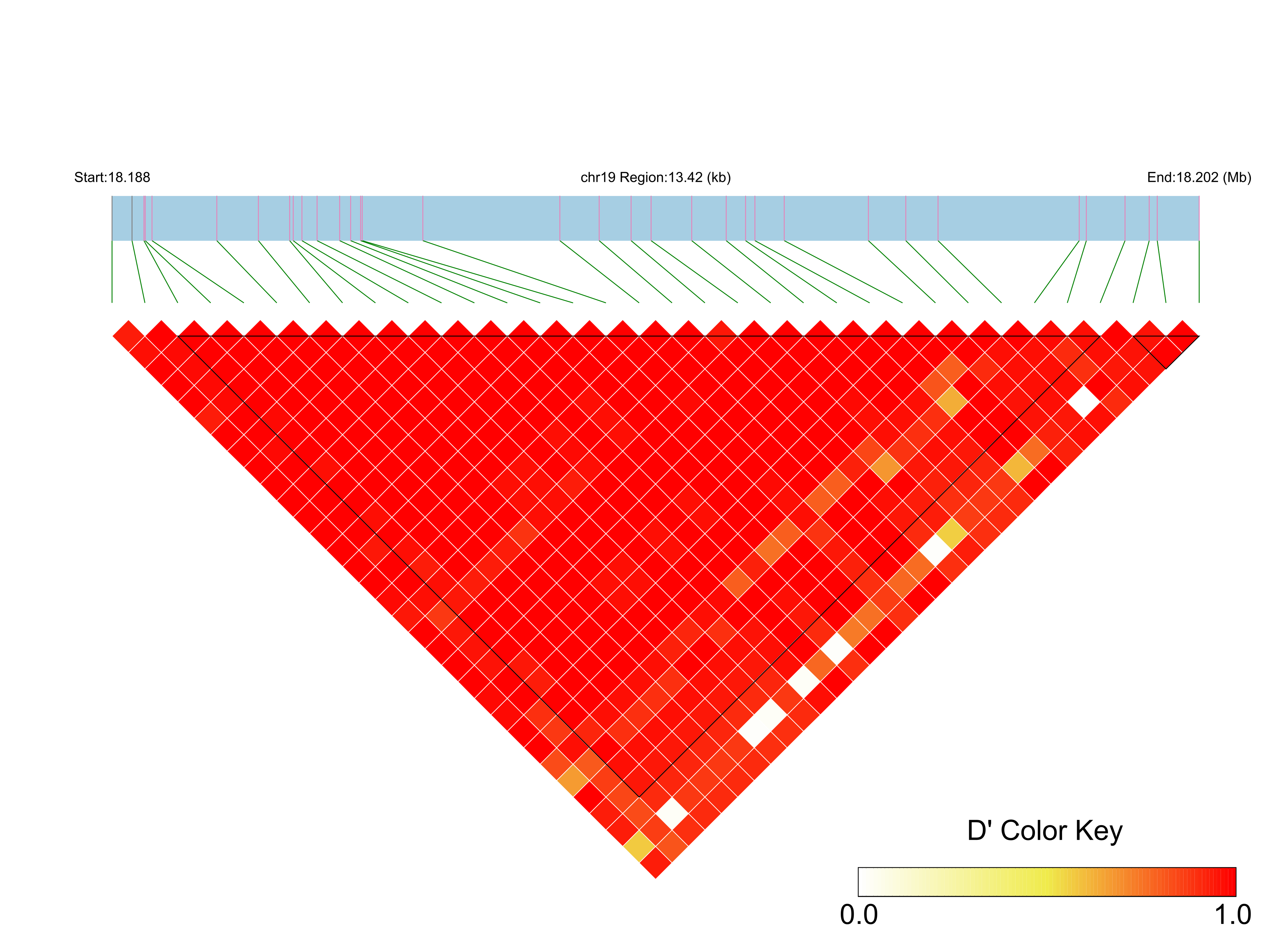 LD