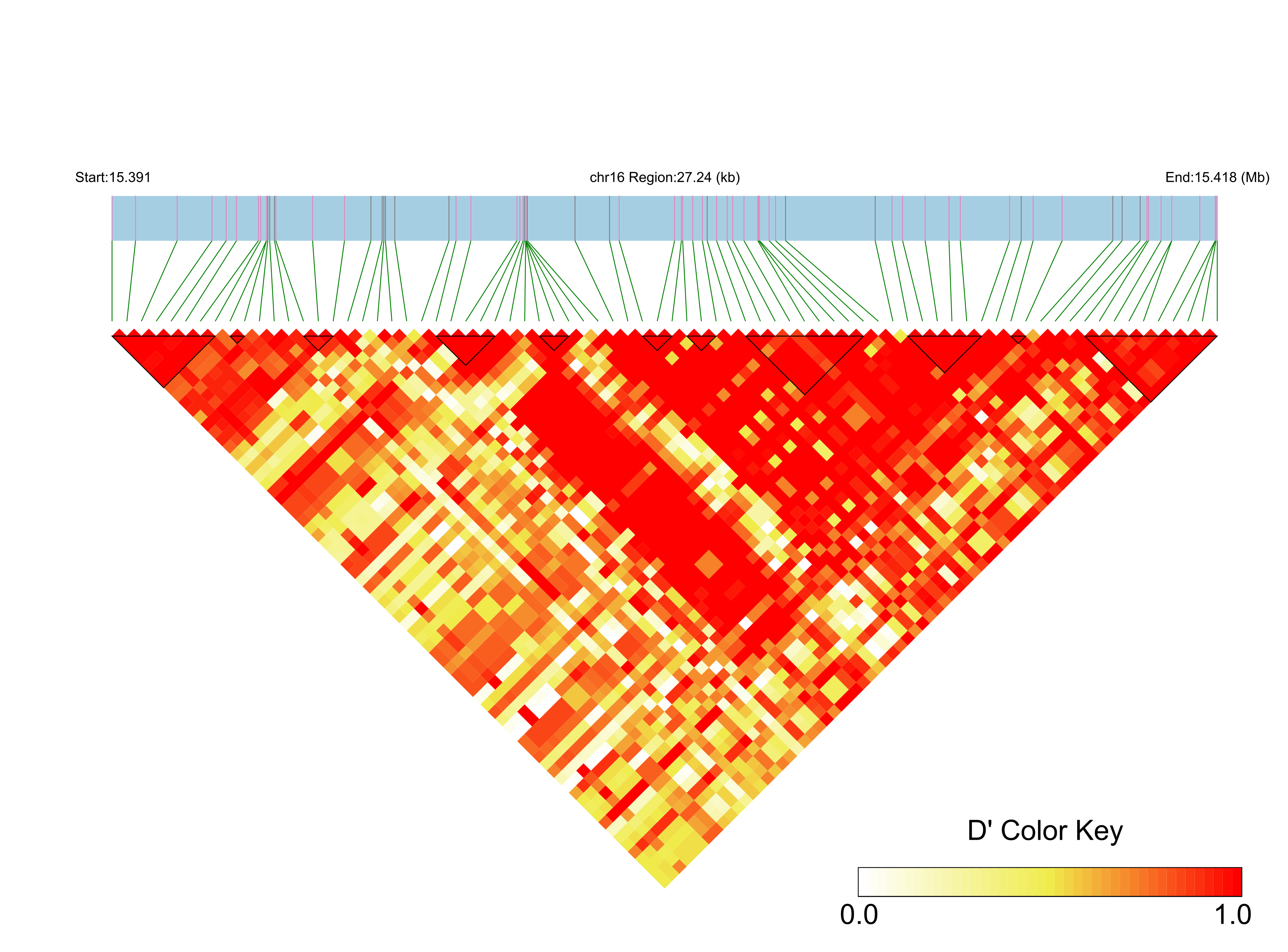 LD