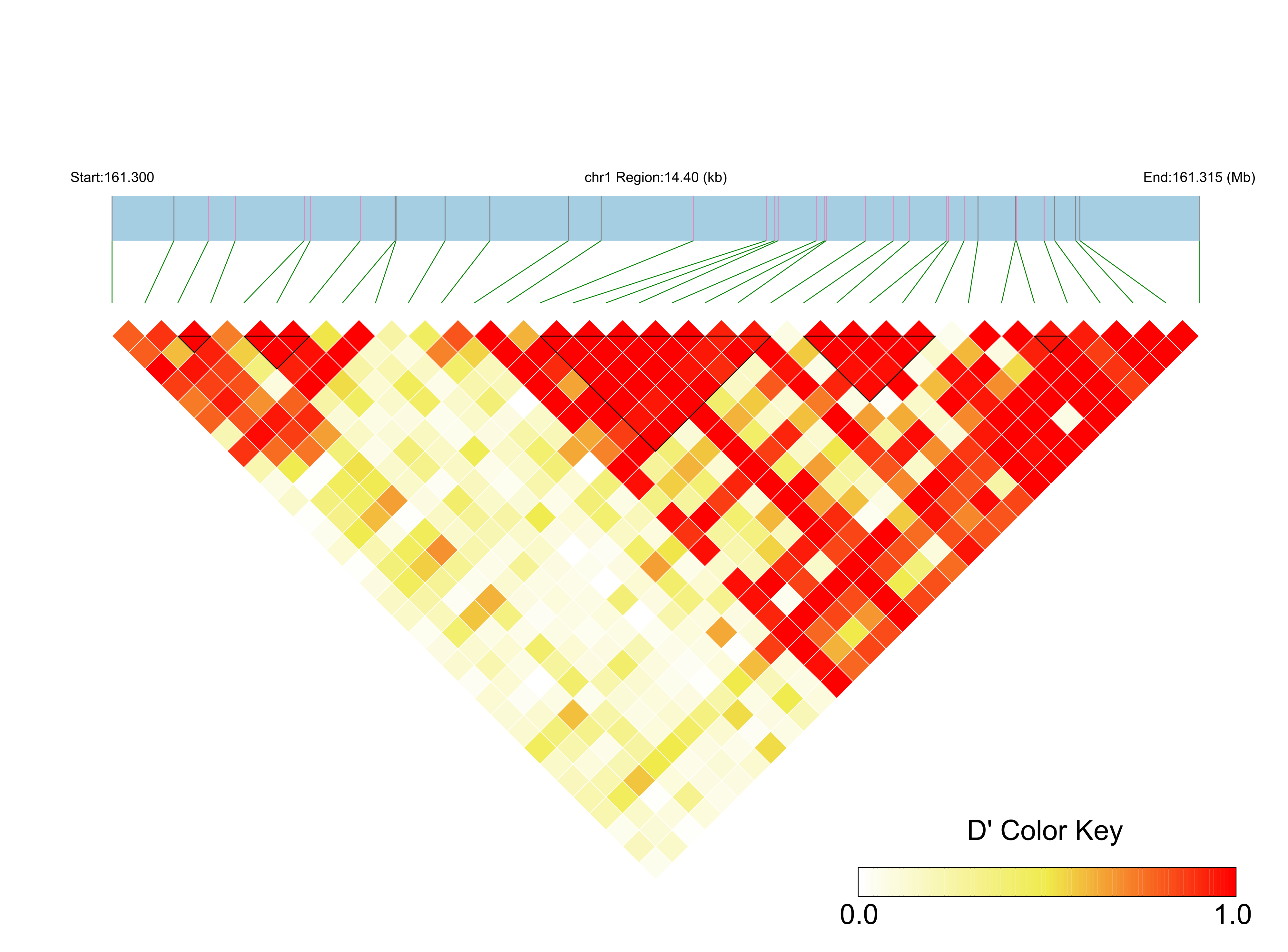 LD