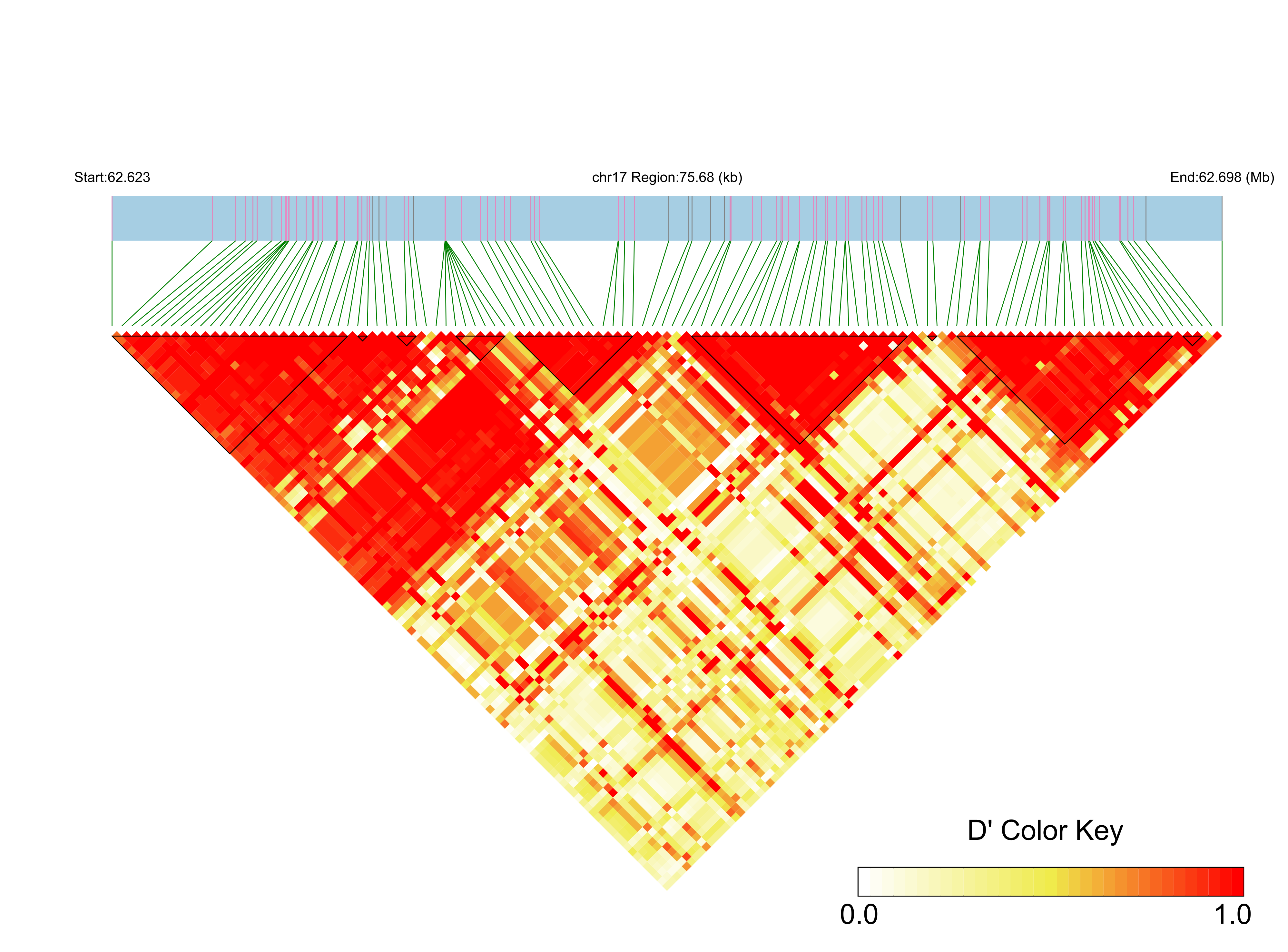 LD