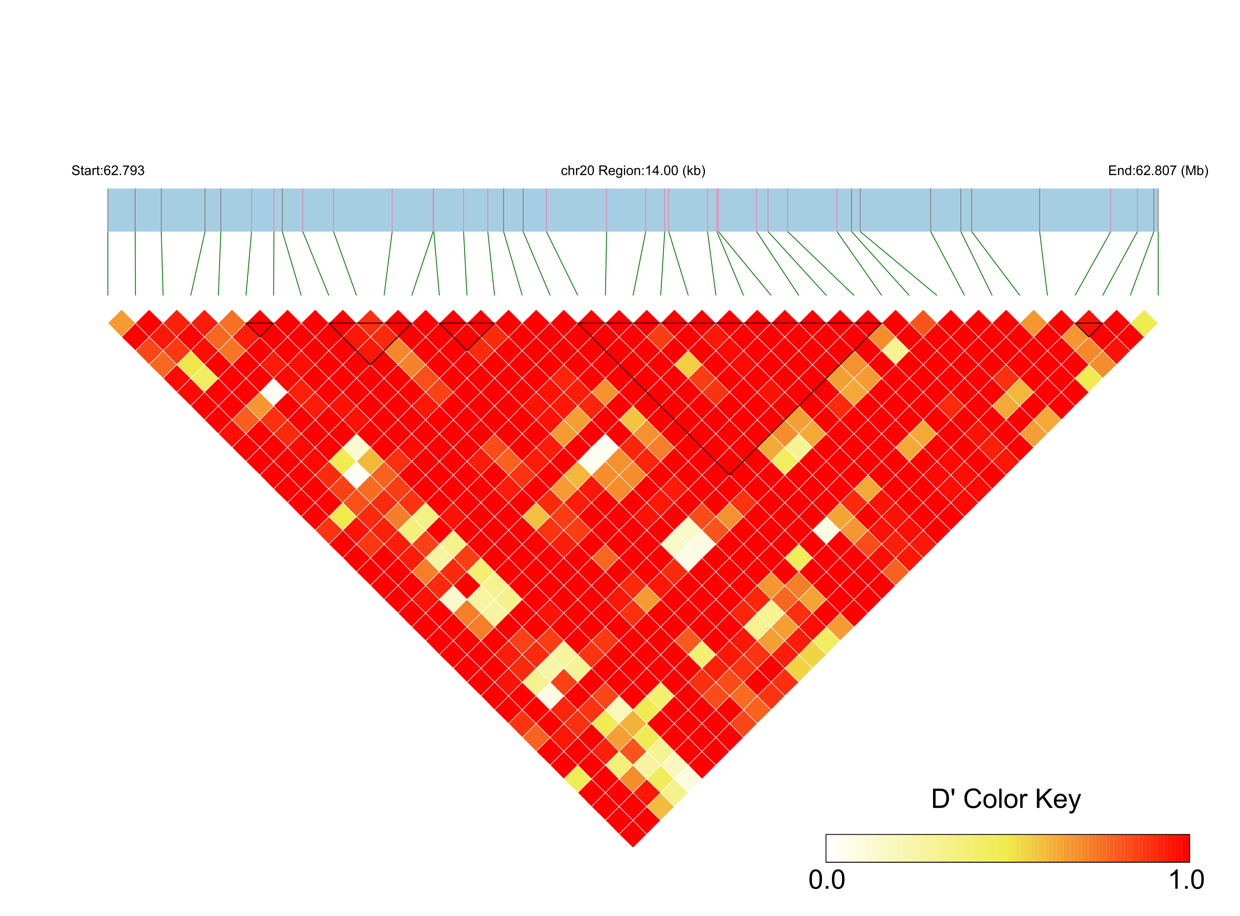 LD