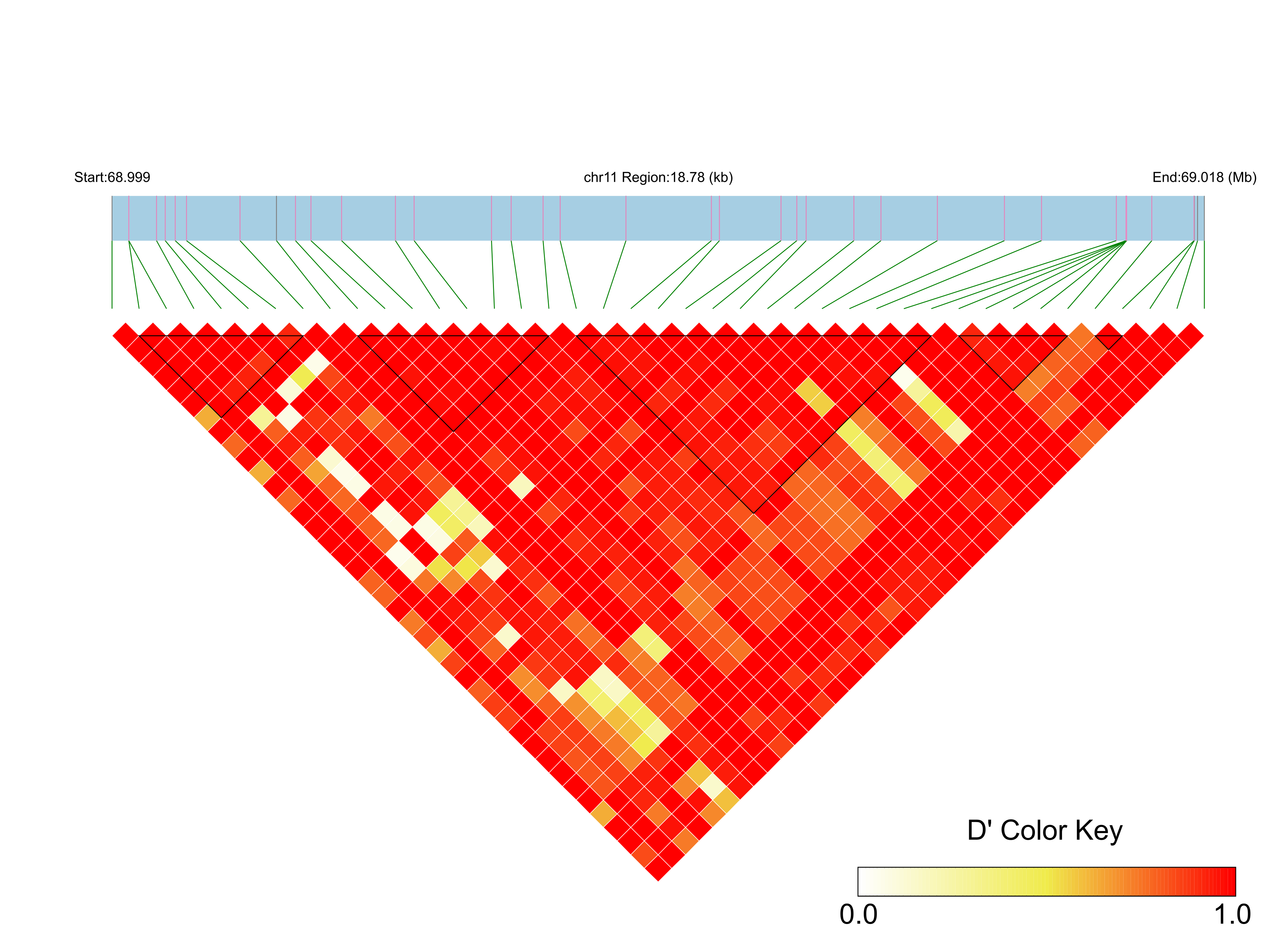 LD