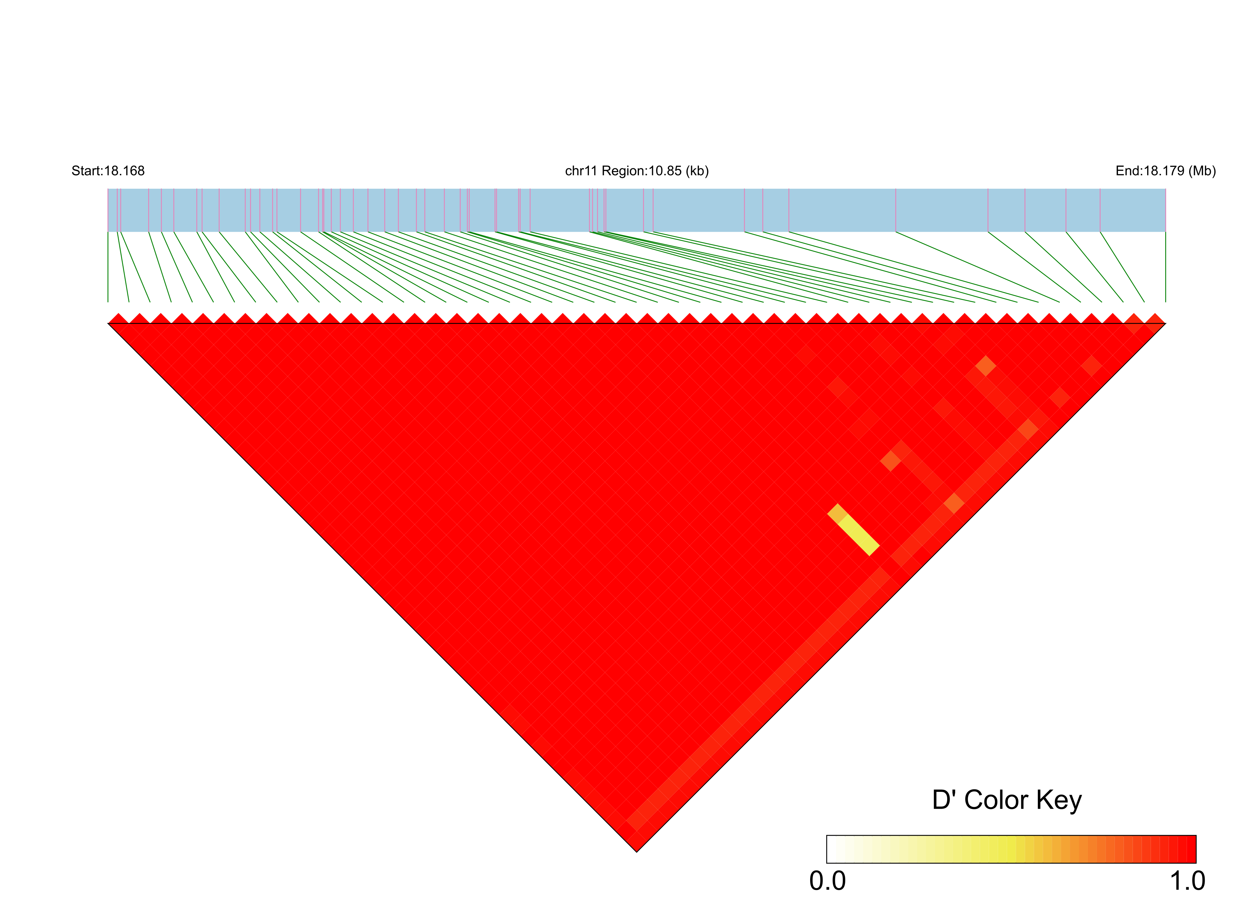 LD