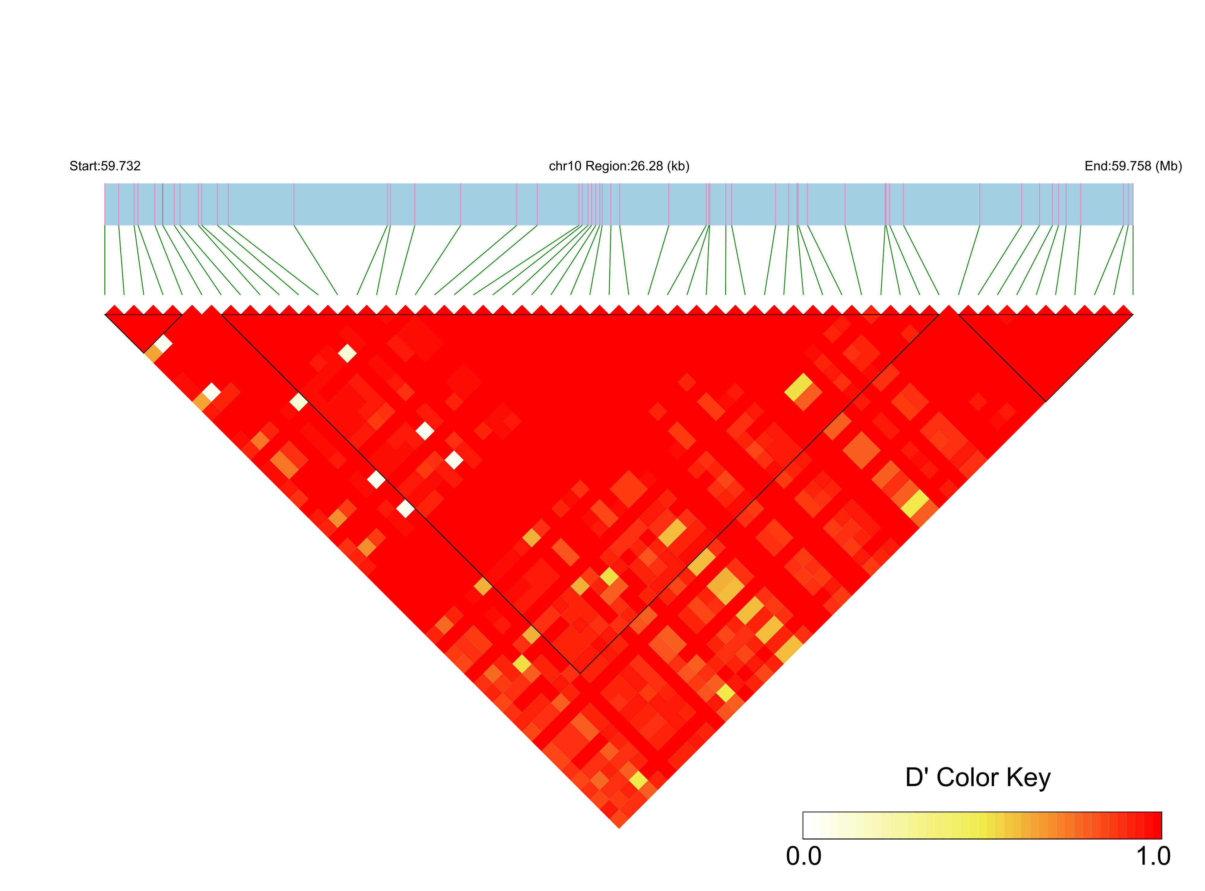 LD