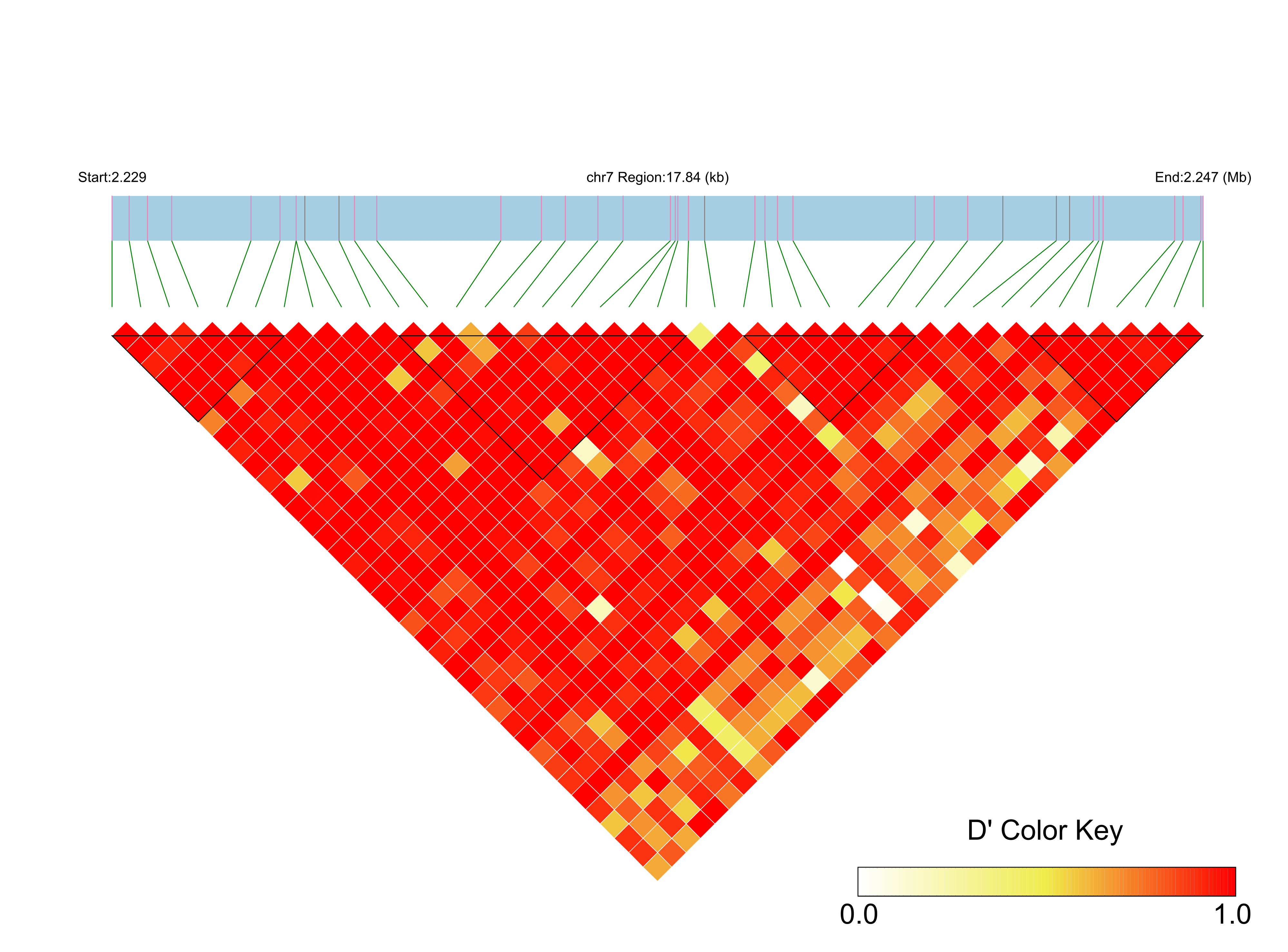 LD