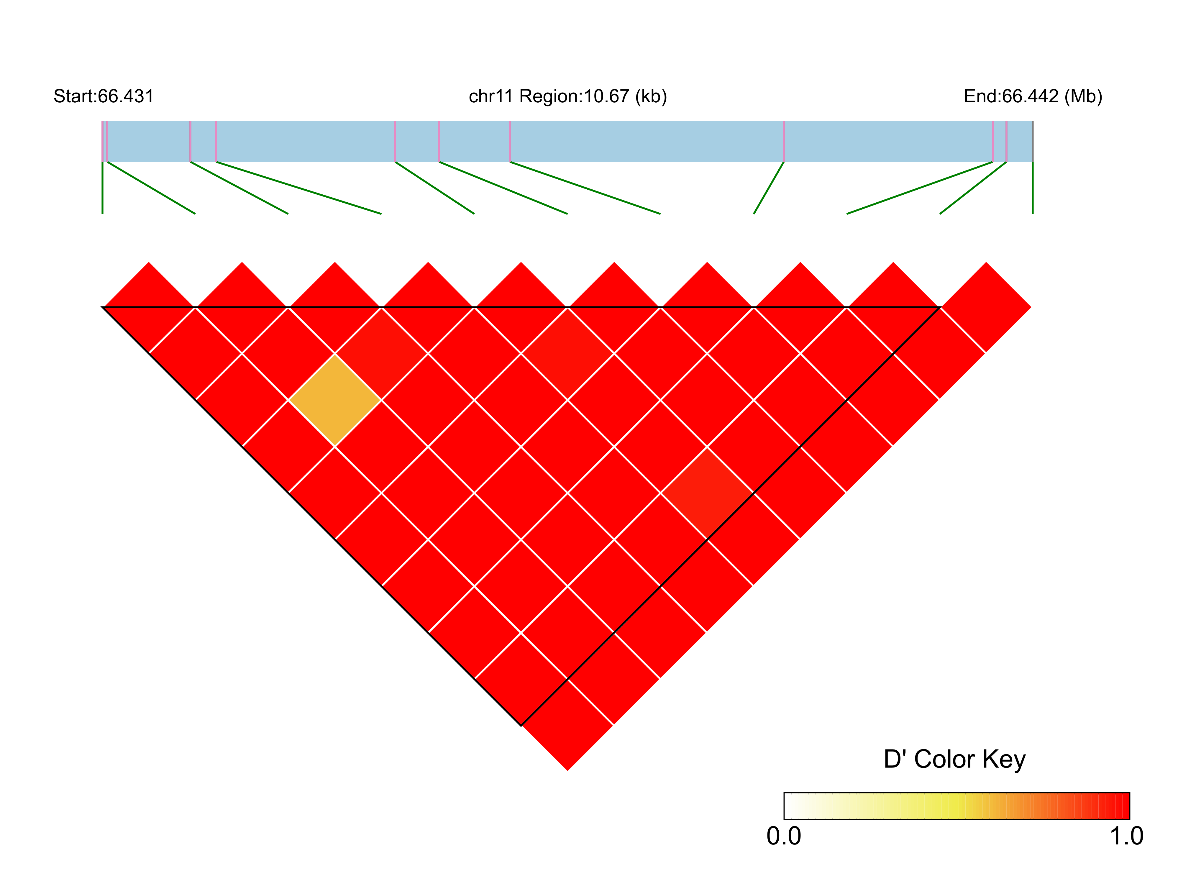 LD