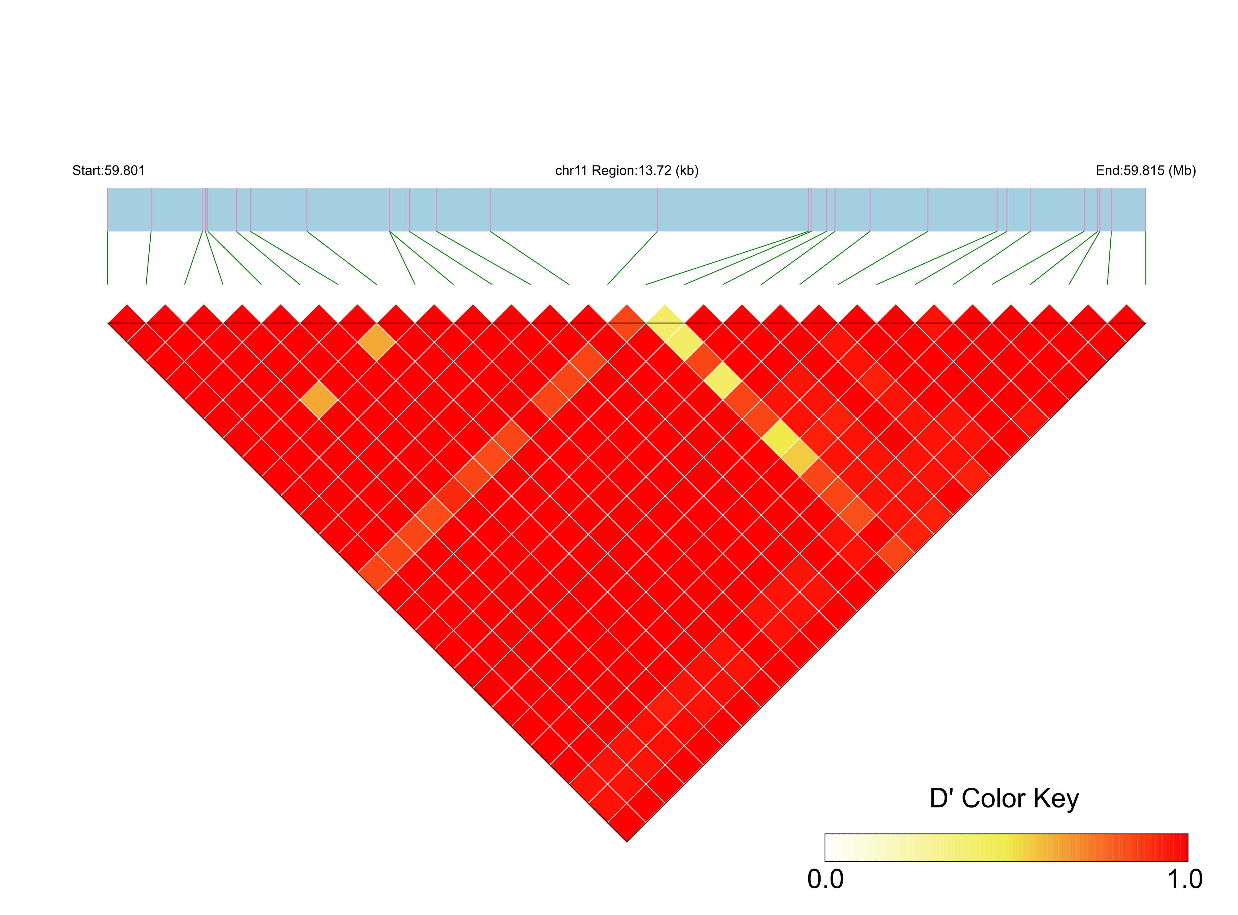 LD