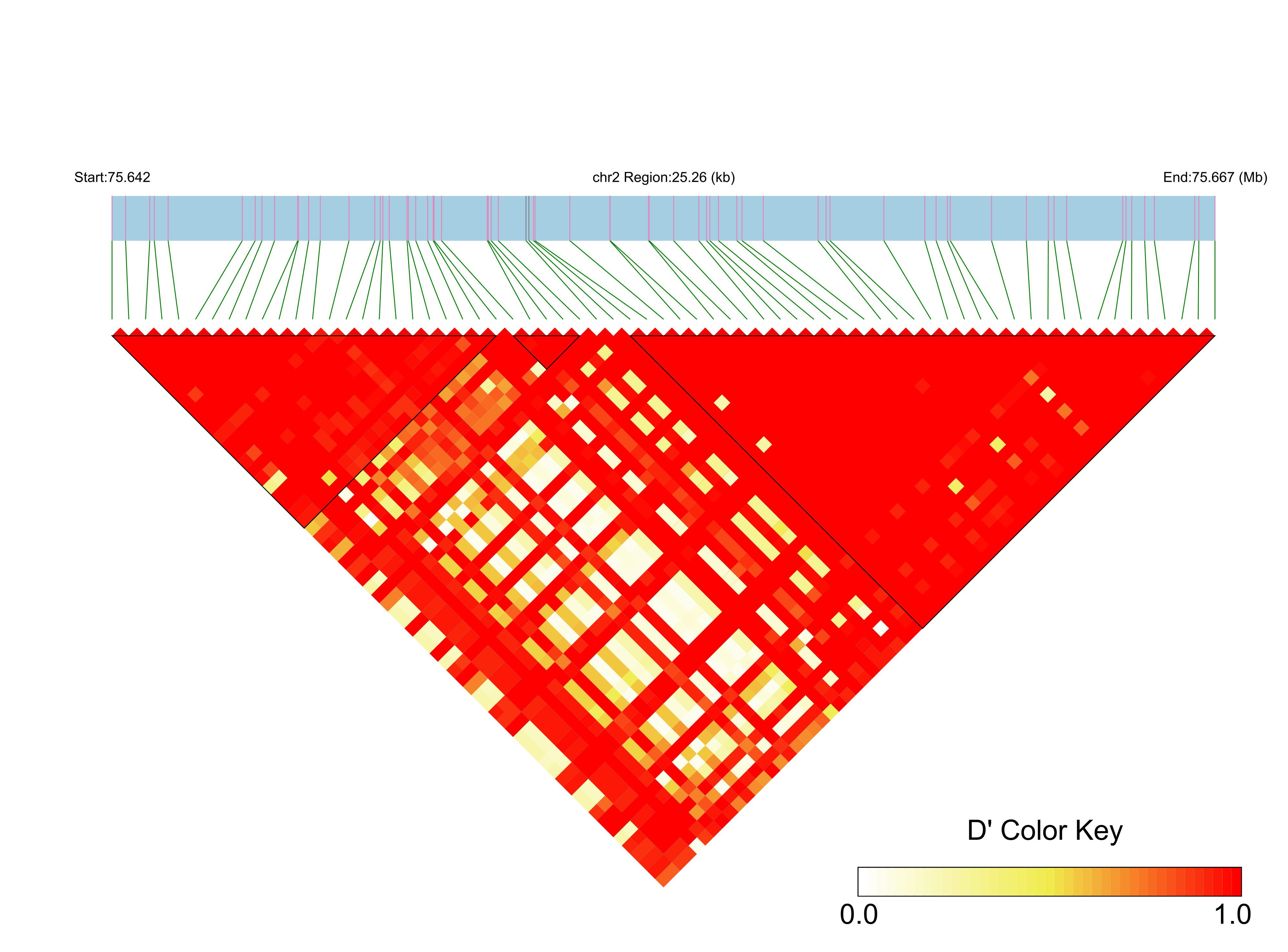 LD