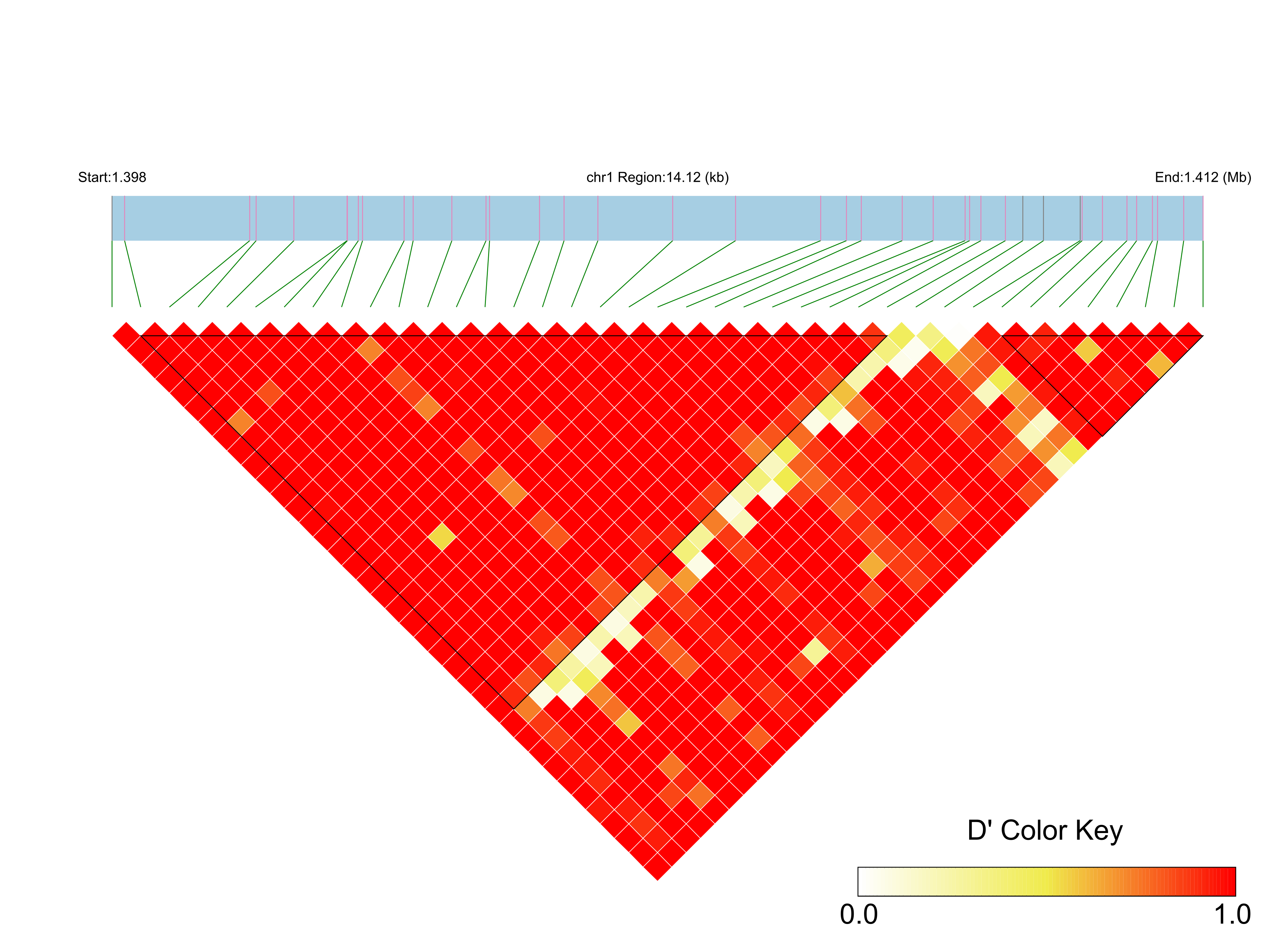 LD