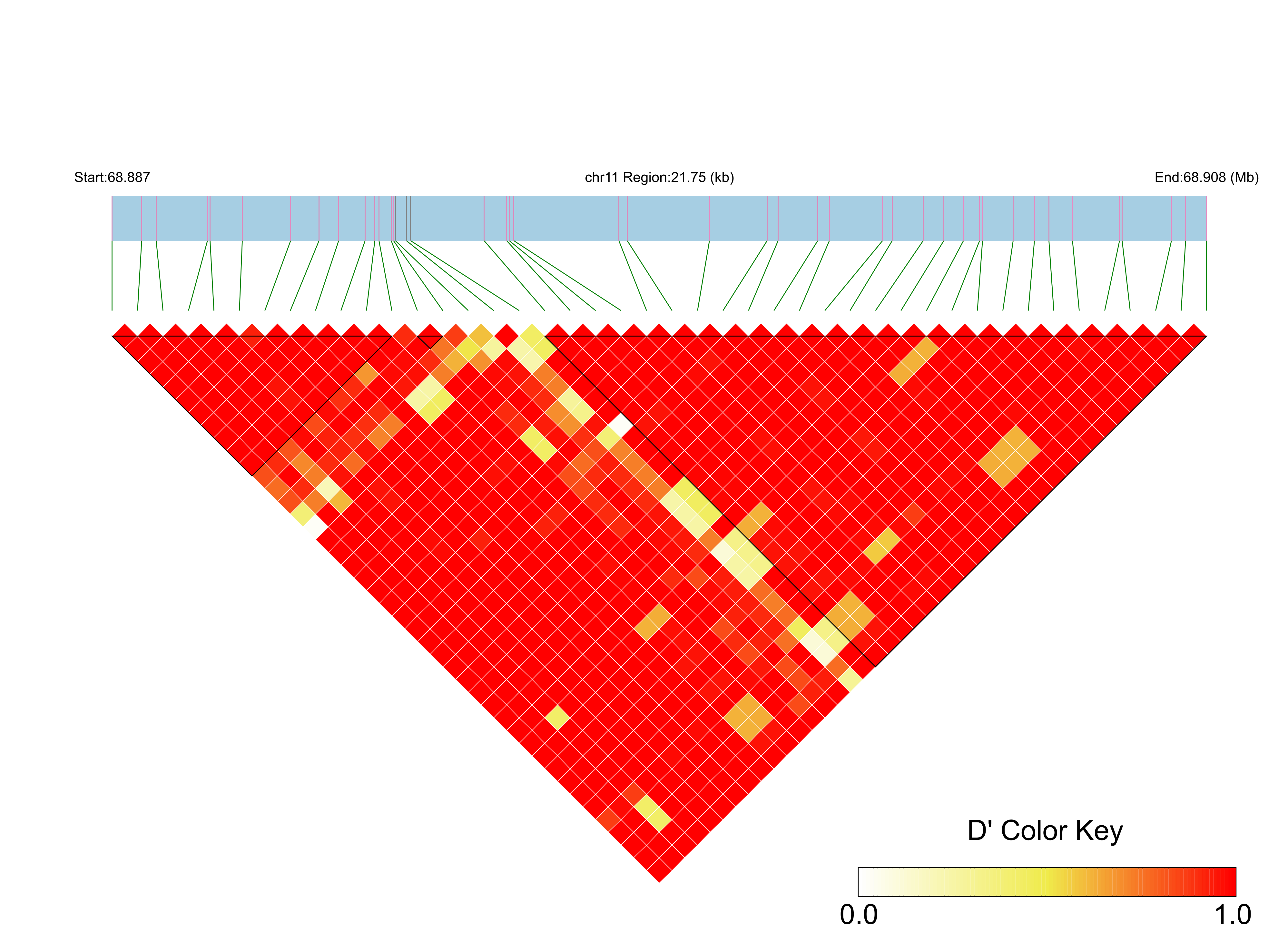 LD