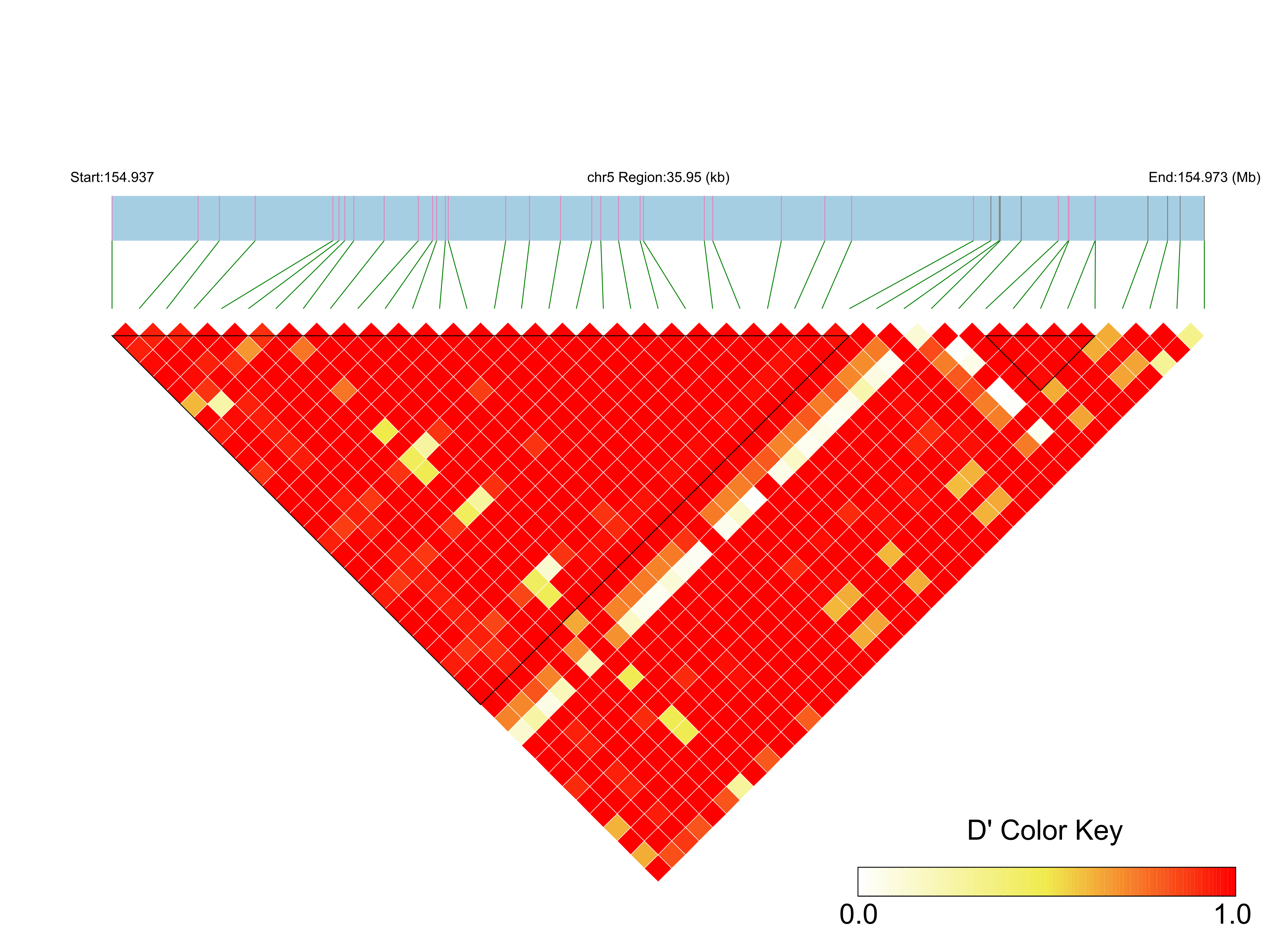 LD