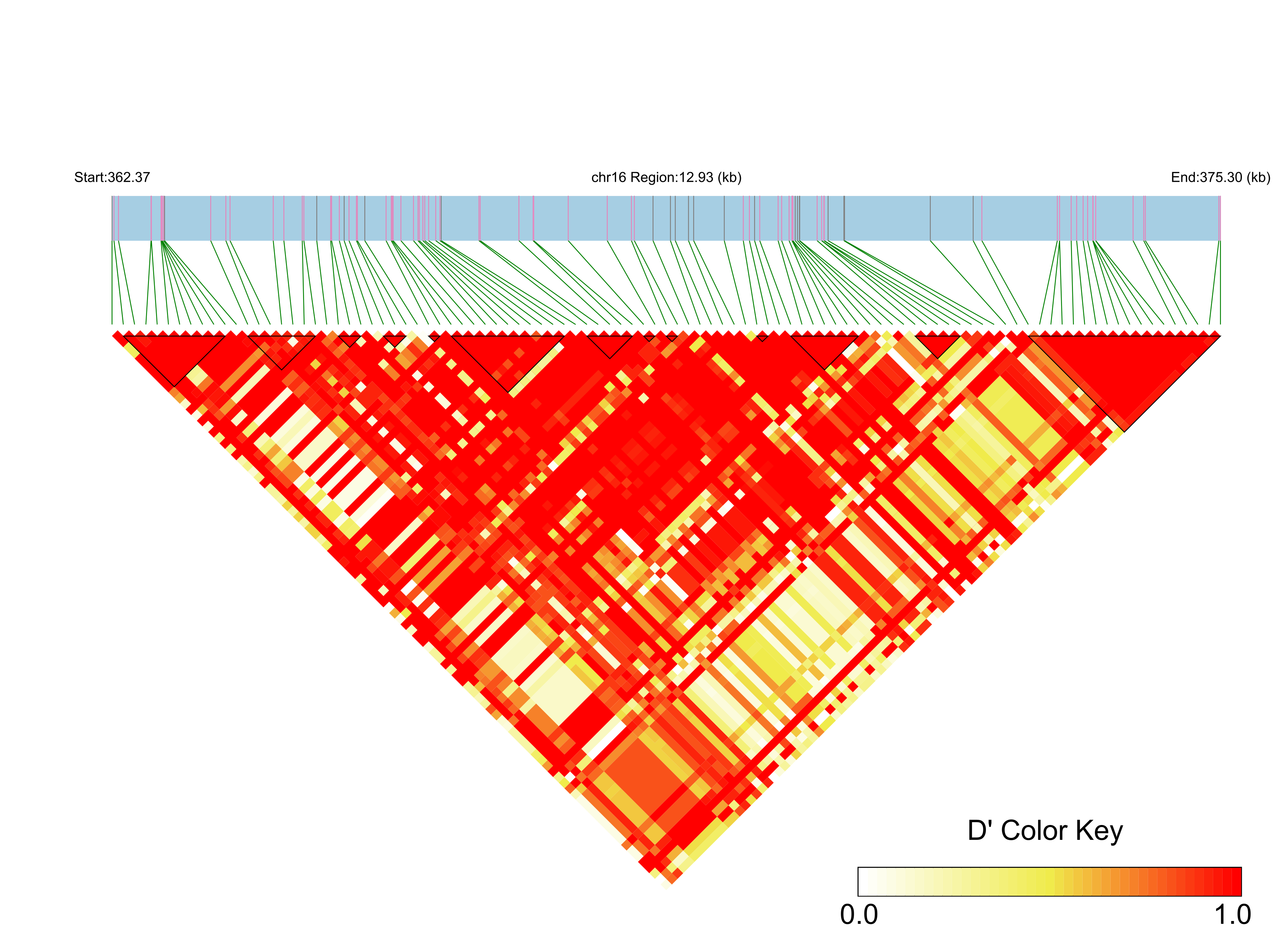 LD