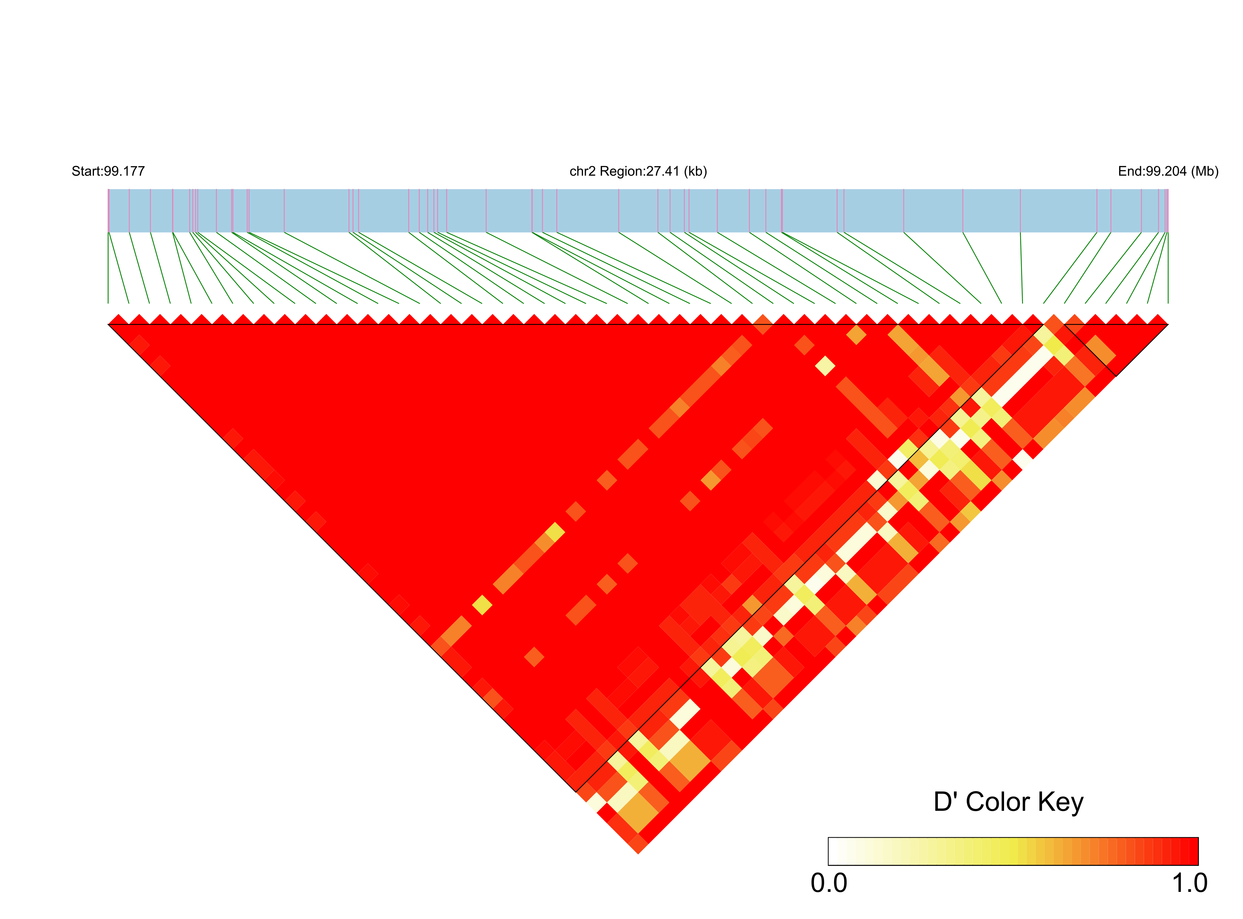 LD