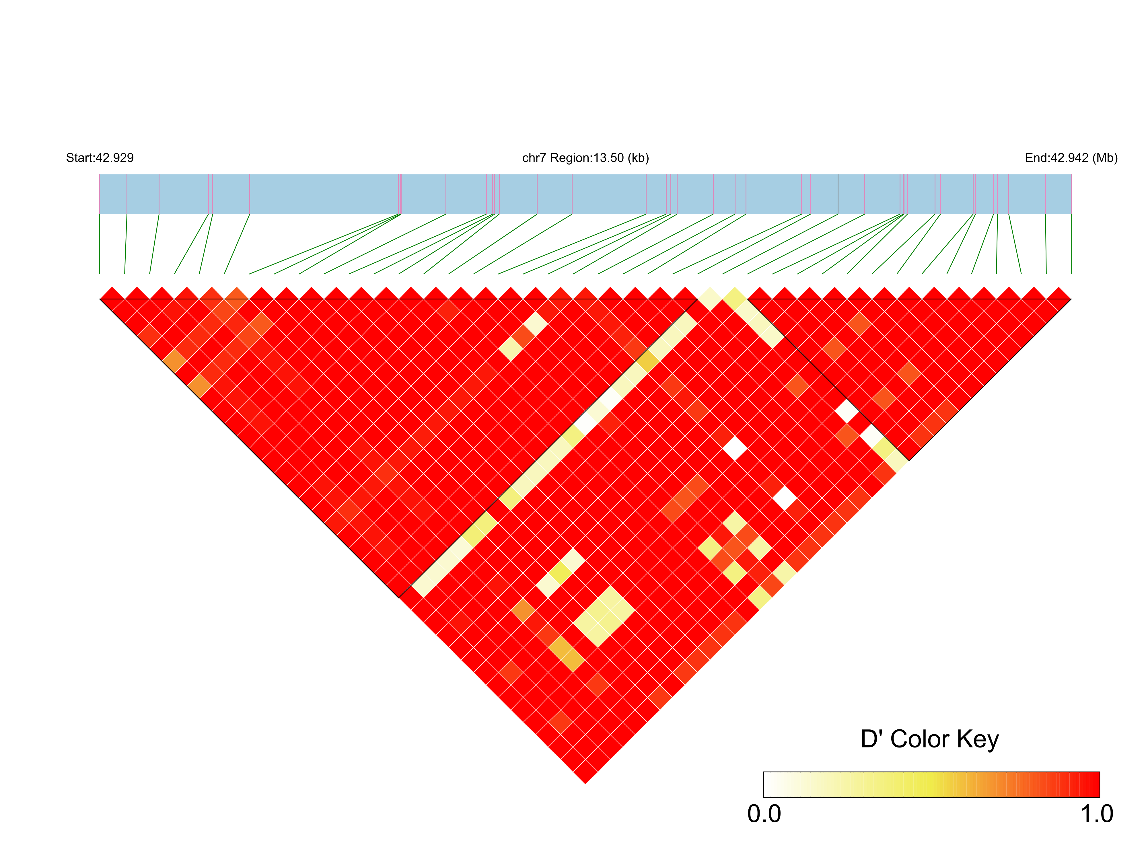 LD