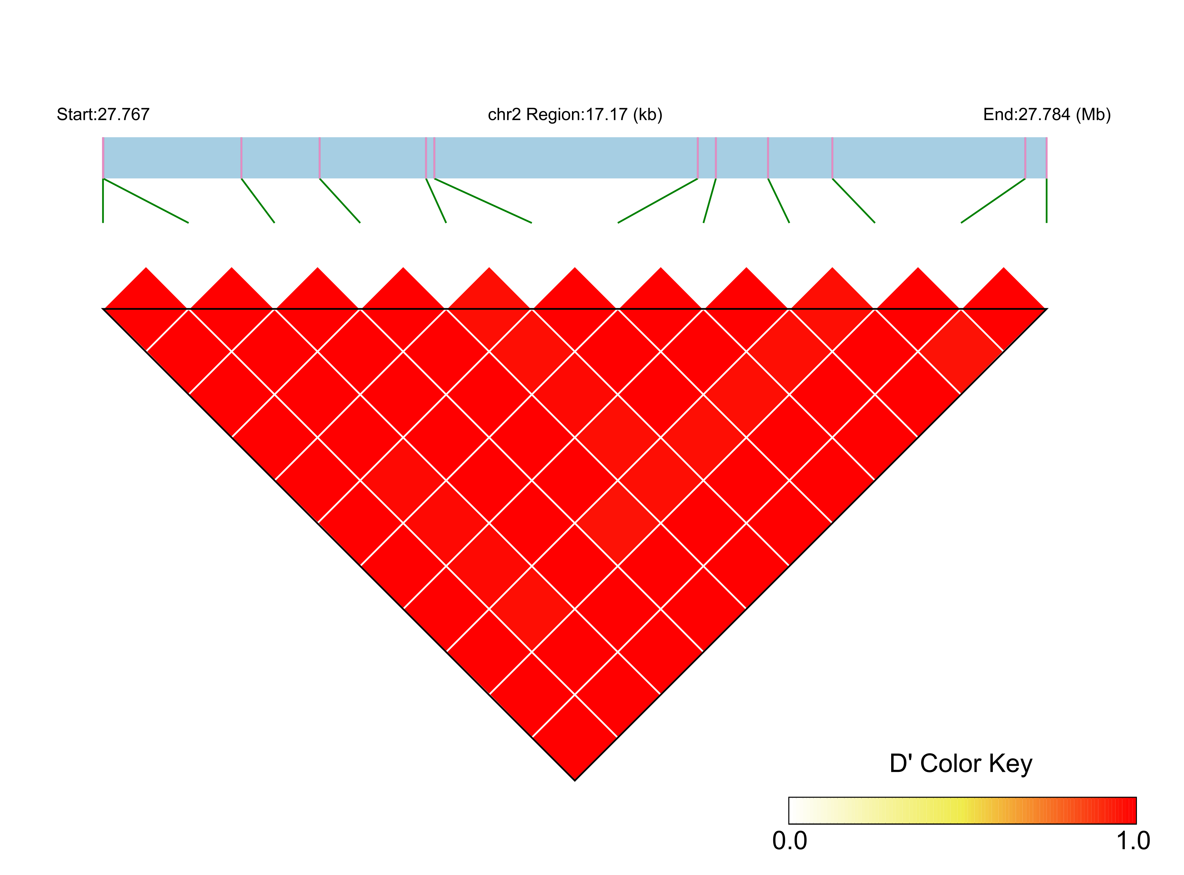 LD