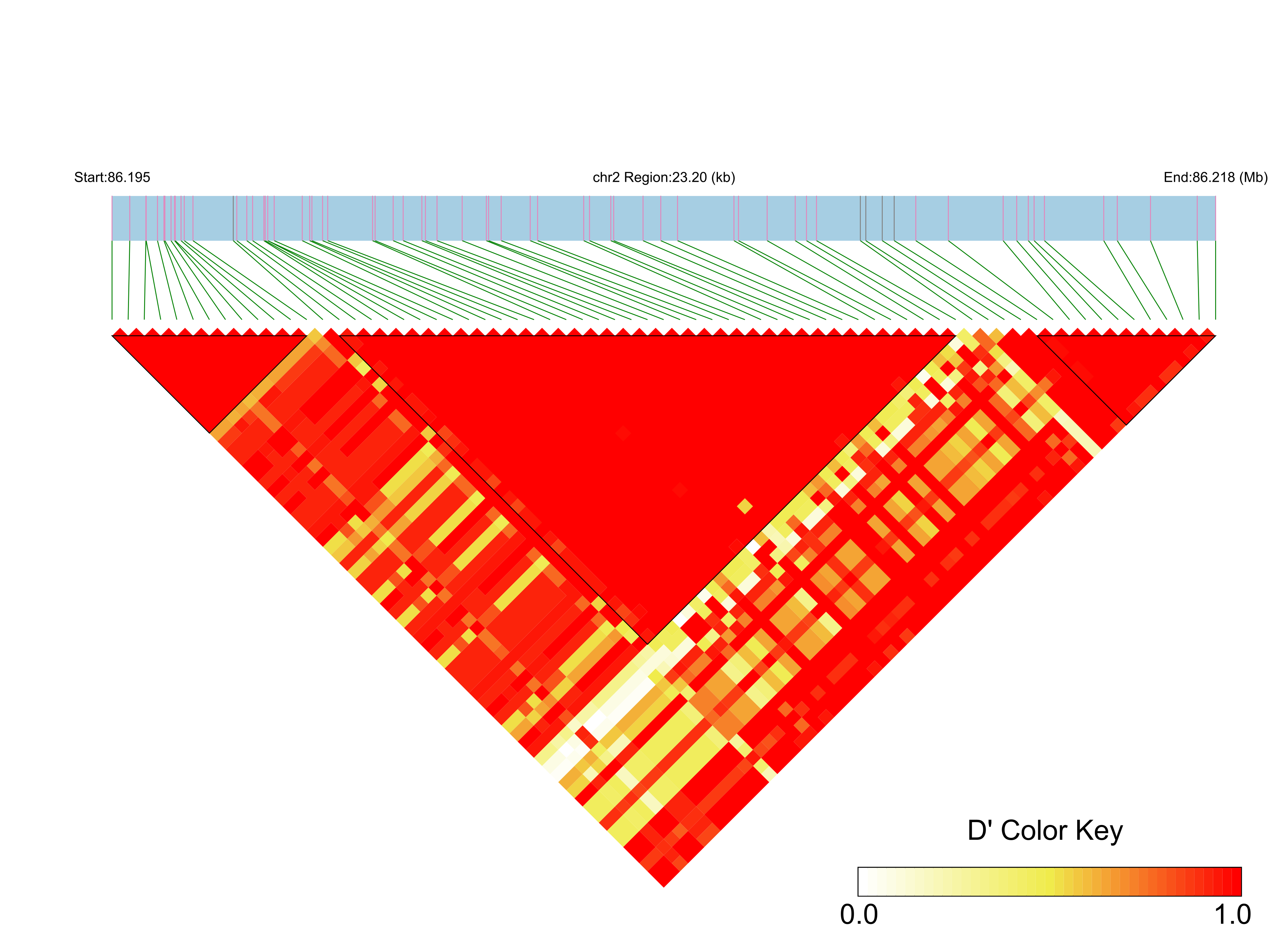 LD