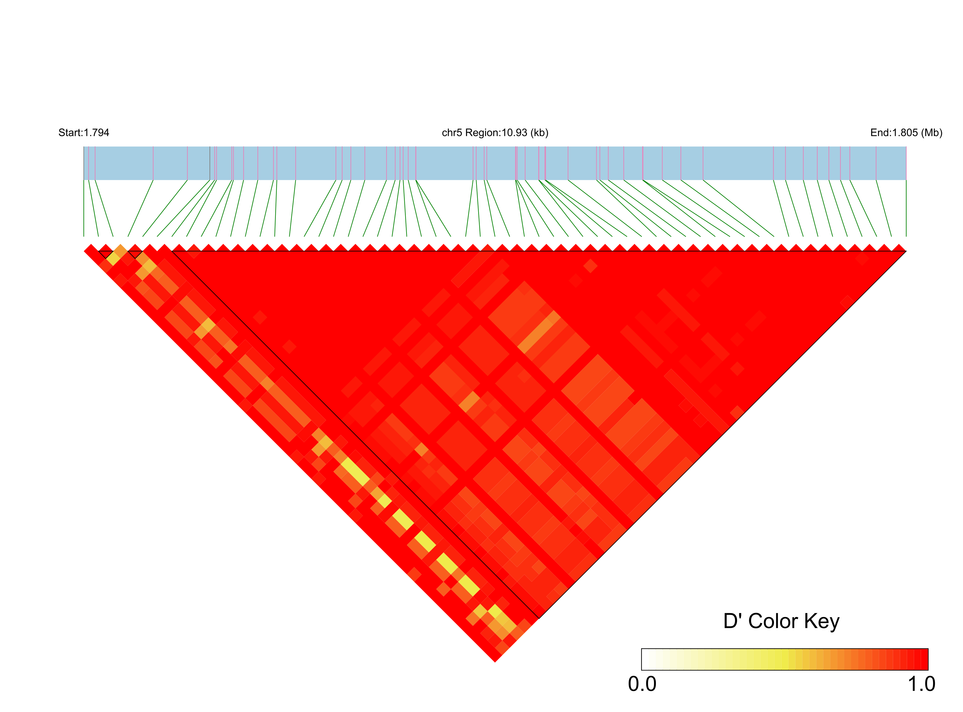LD