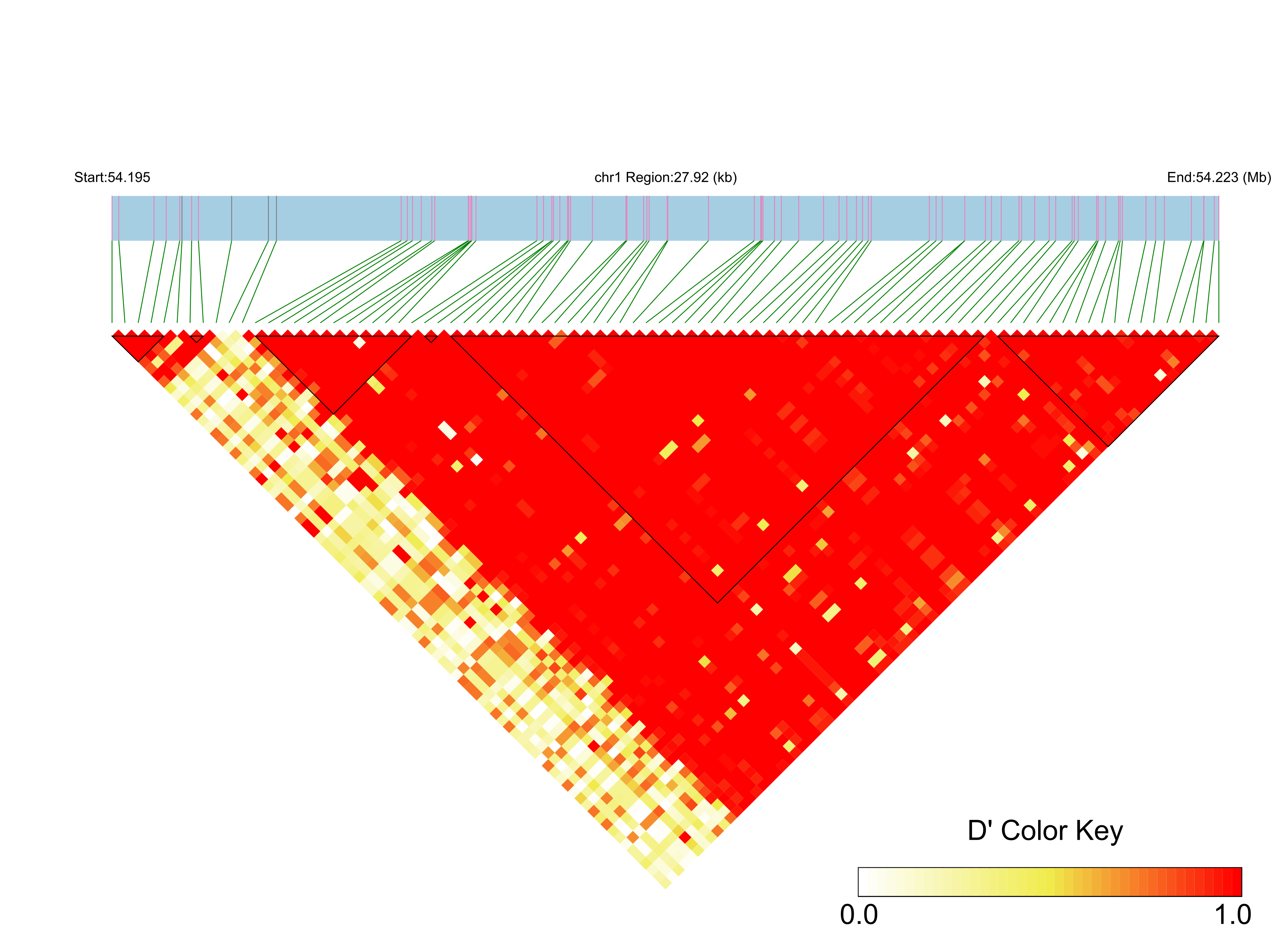 LD