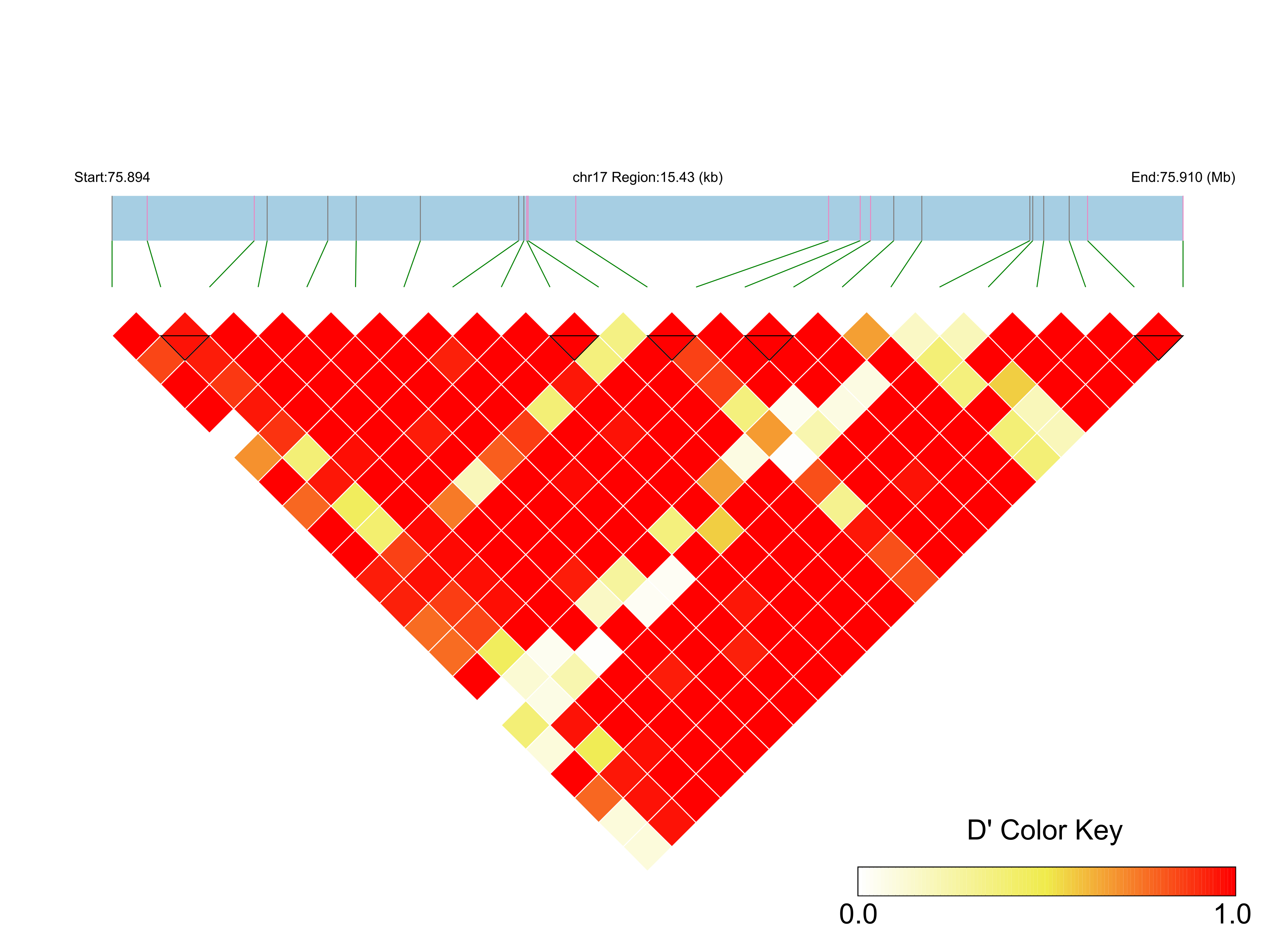 LD